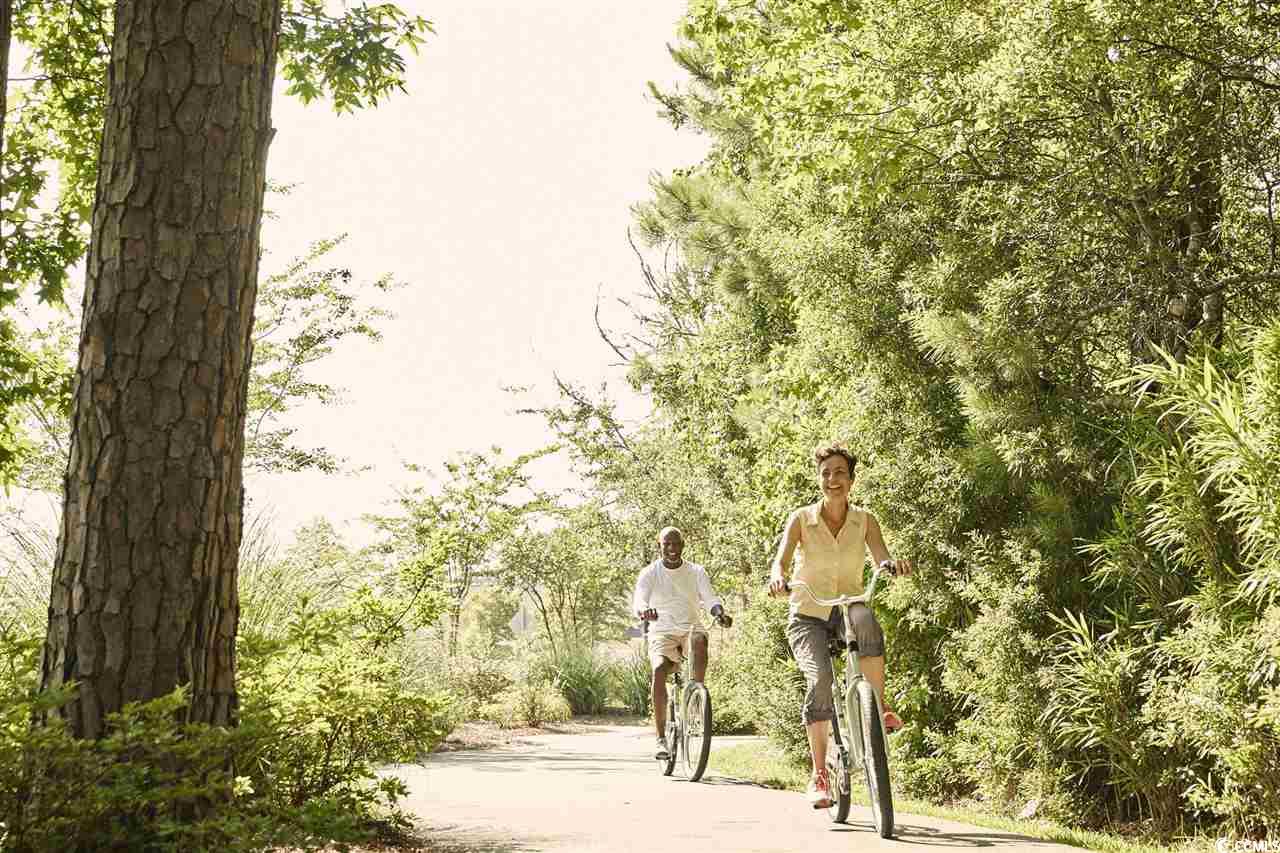 473 Magnolia Terrace Dr Property Photo 17