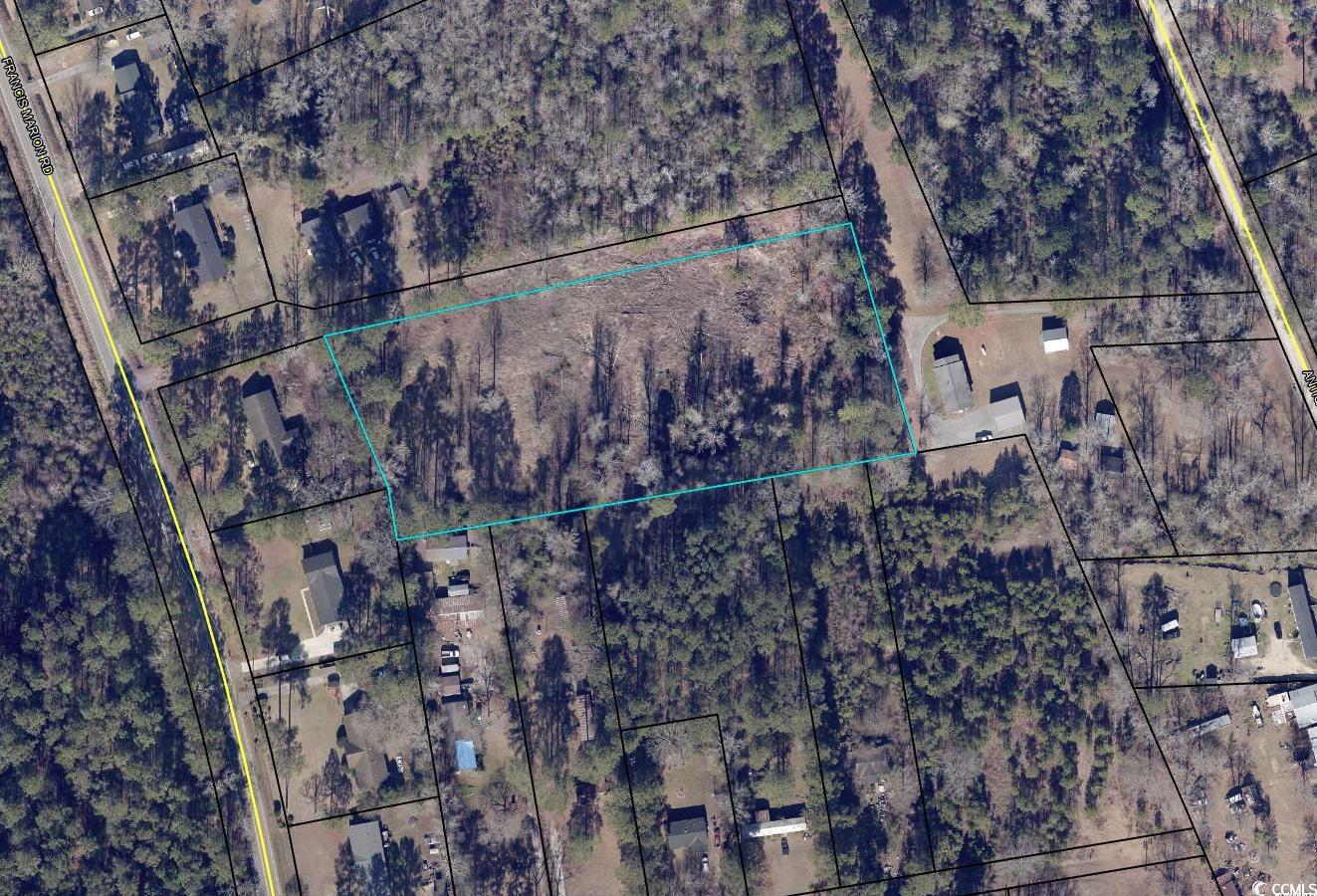 Tbd Francis Marion Rd. Property Photo 1