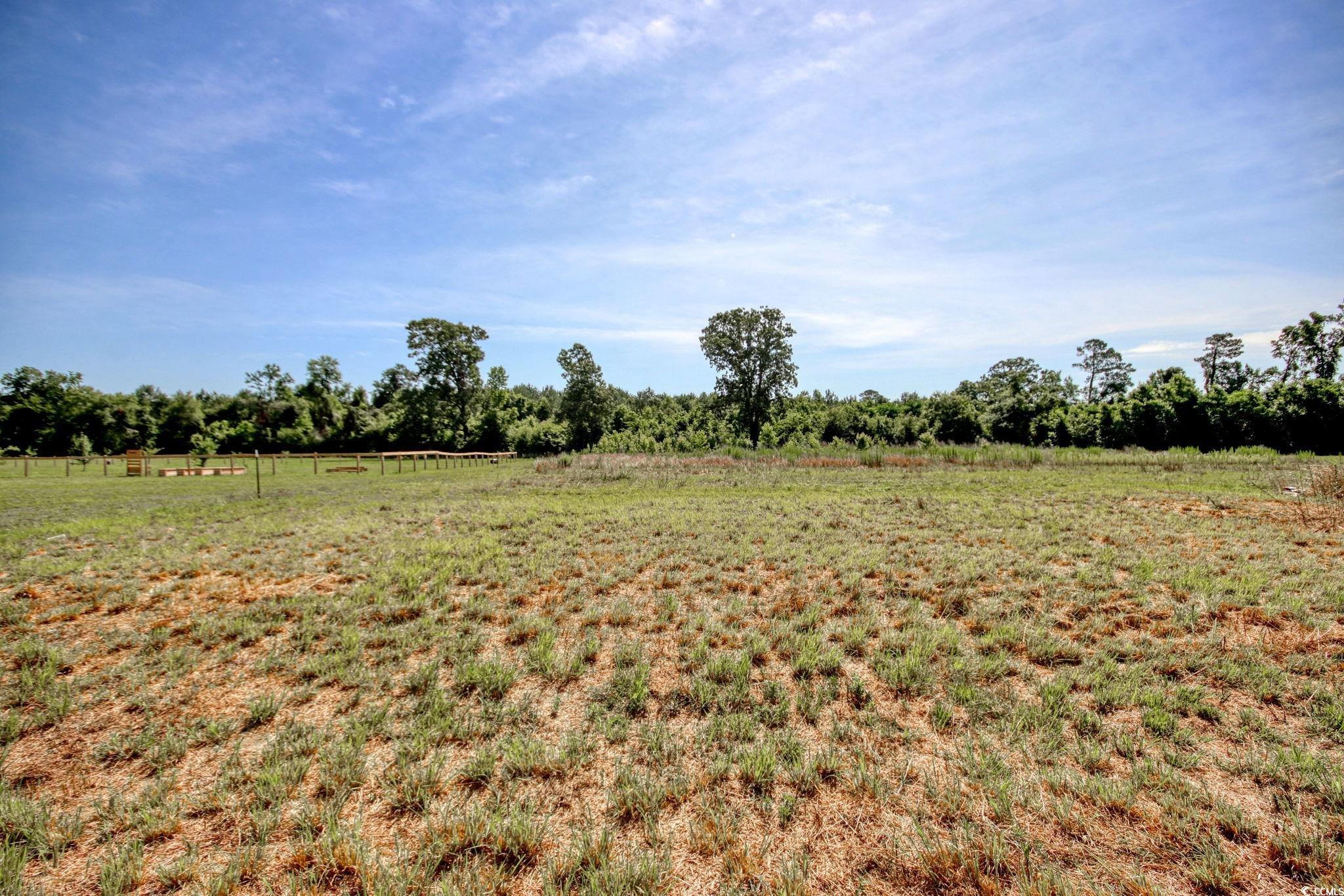 176 Old Flowers Rd. Property Photo 26