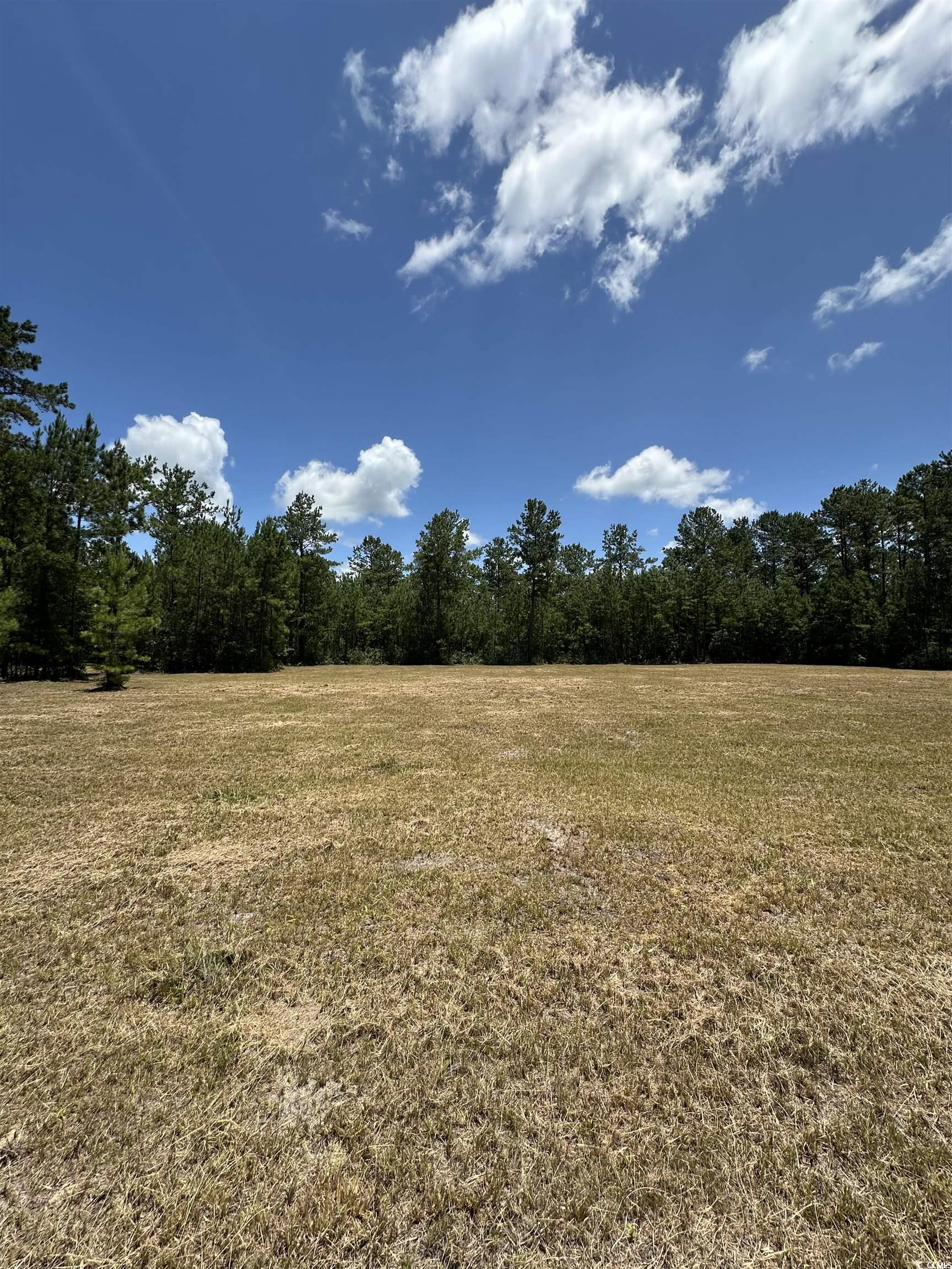 218 Samworth Loop Property Photo 1