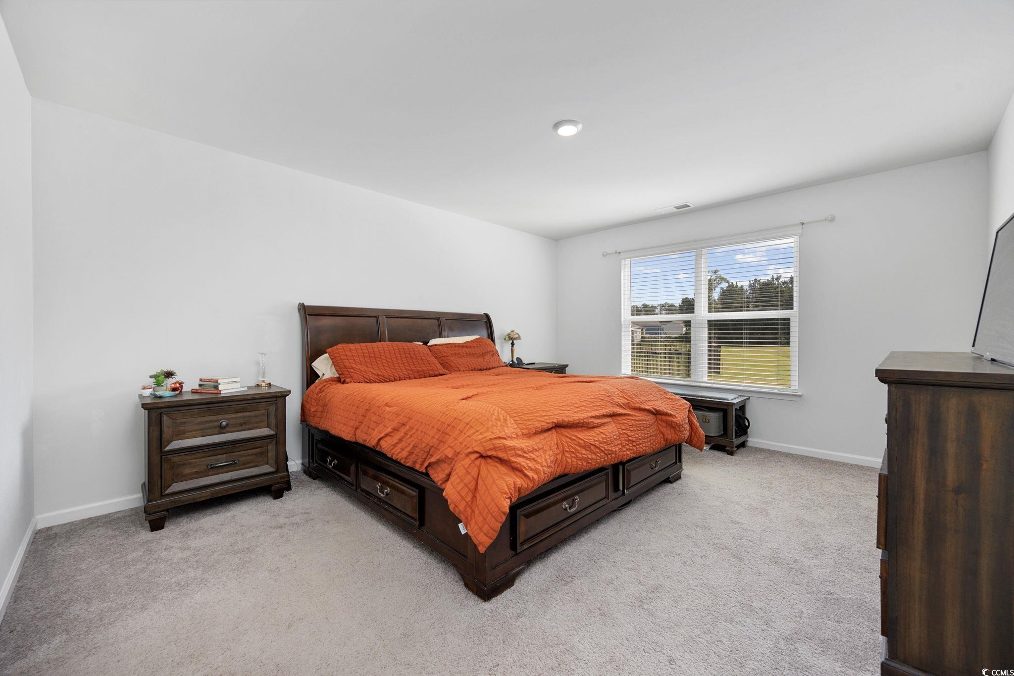 417 Spruce Pine Way Property Photo 15
