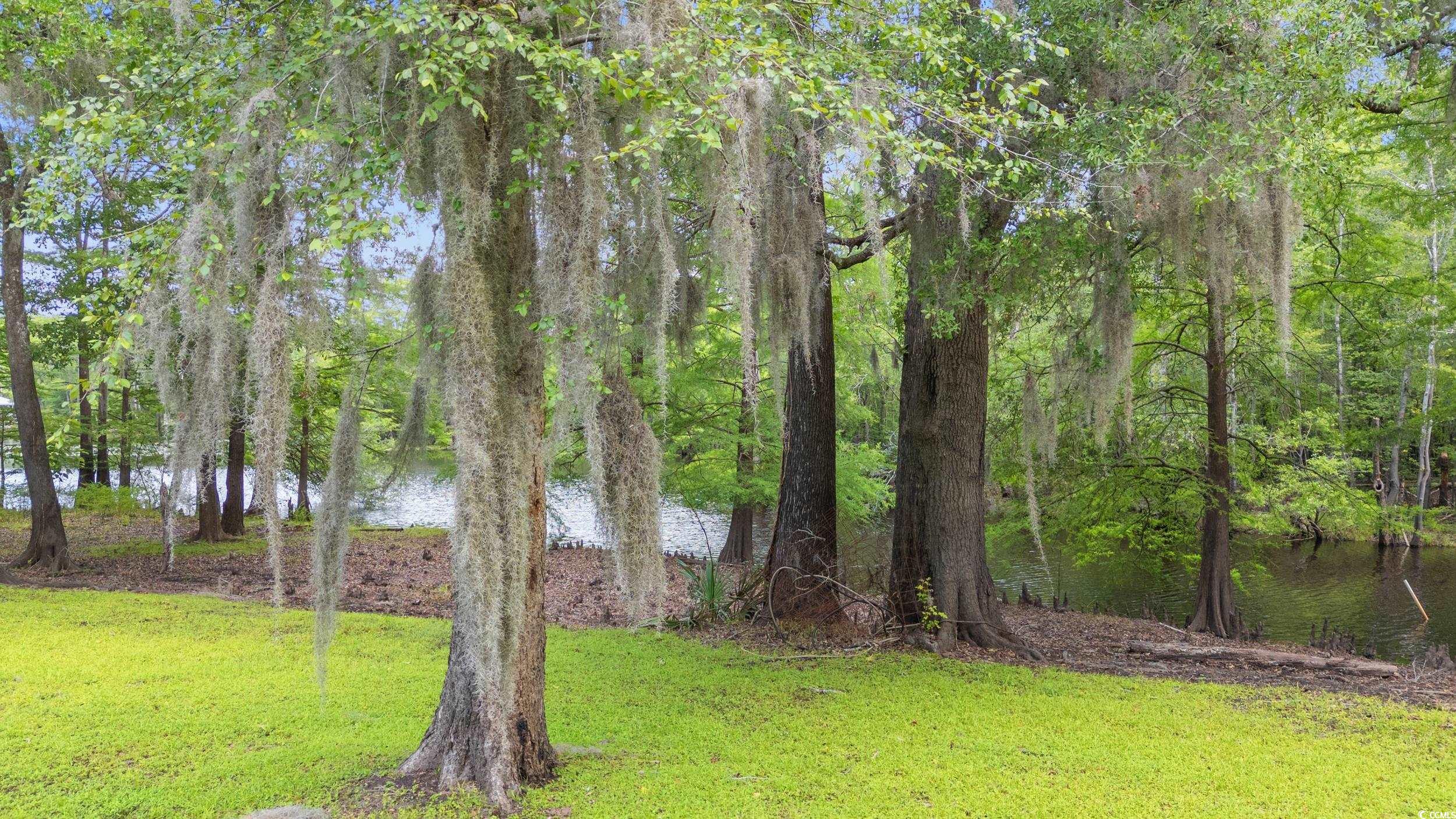 1032 Chelsey Circle Property Photo 31