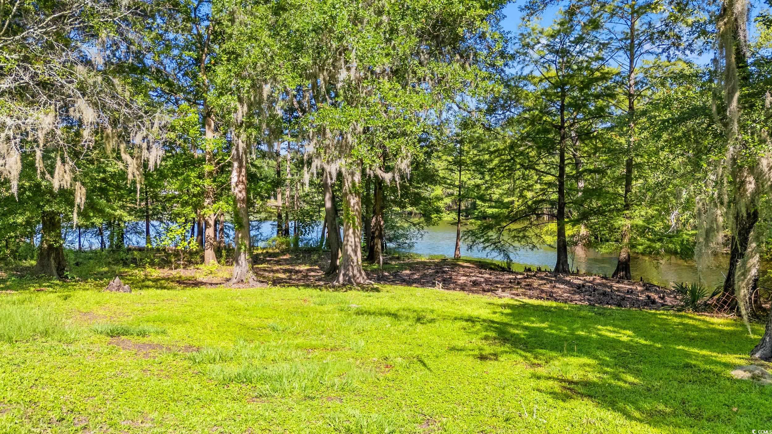 1032 Chelsey Circle Property Photo 3
