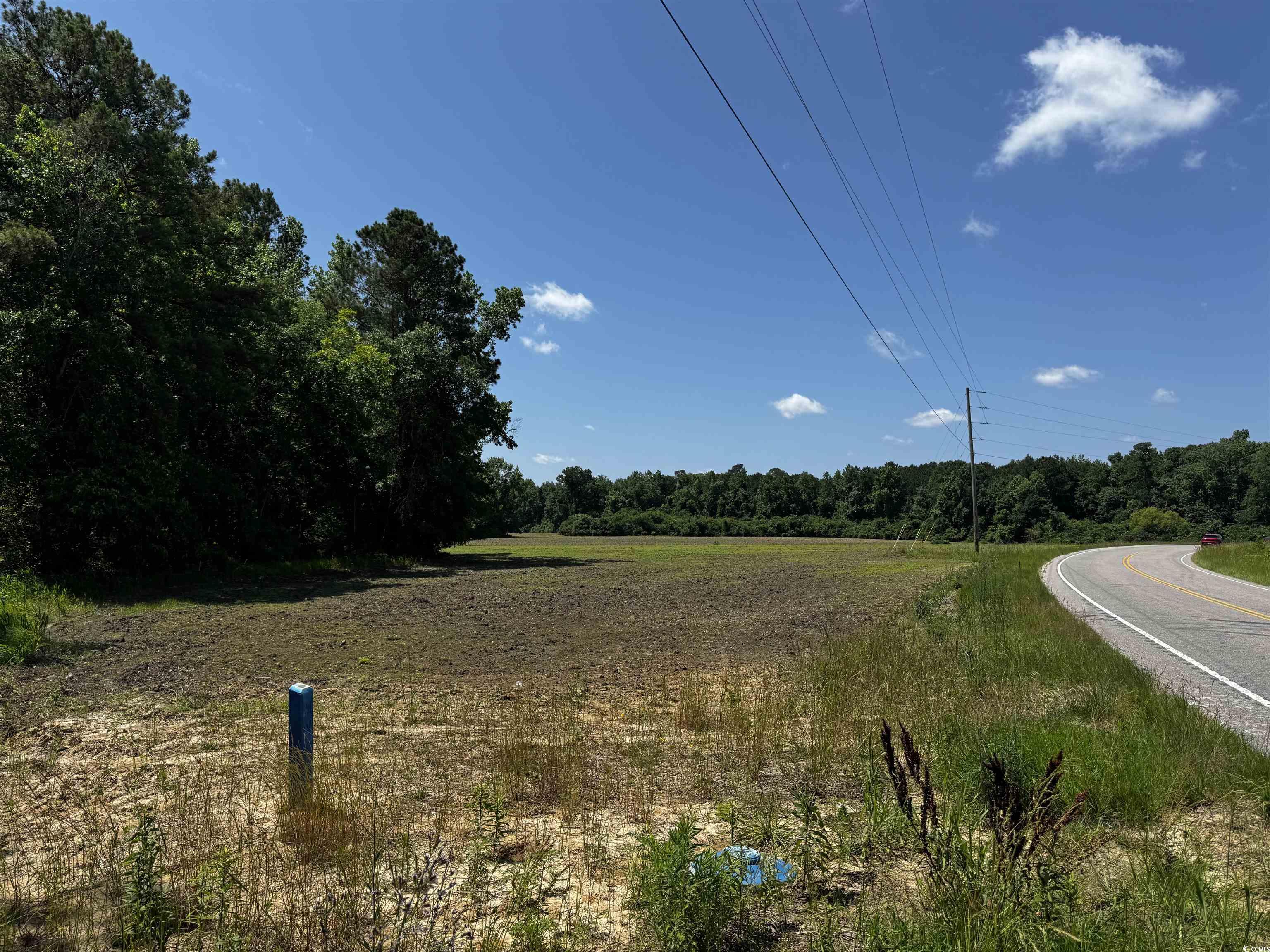 Tbd 23.20 Ac Highway 45 Property Photo