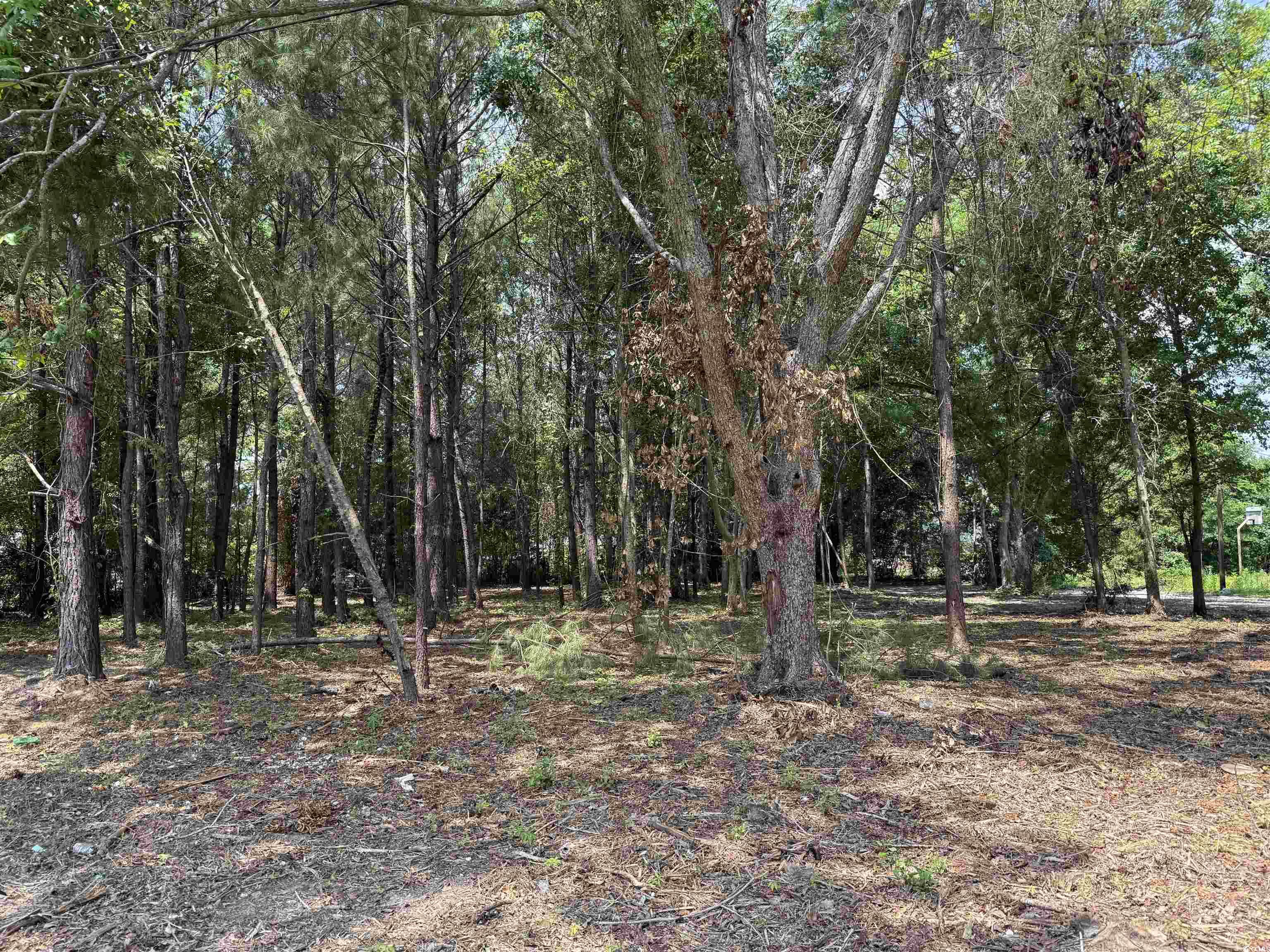 2 Lots - Tbd S Rosemary Ave. Property Photo 1