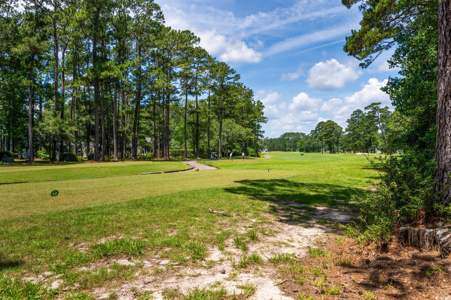 77 Capt Anthony White Ln. Property Photo 33