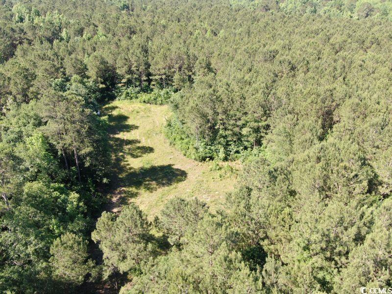 Tbd Thurgood Dr Property Photo 2