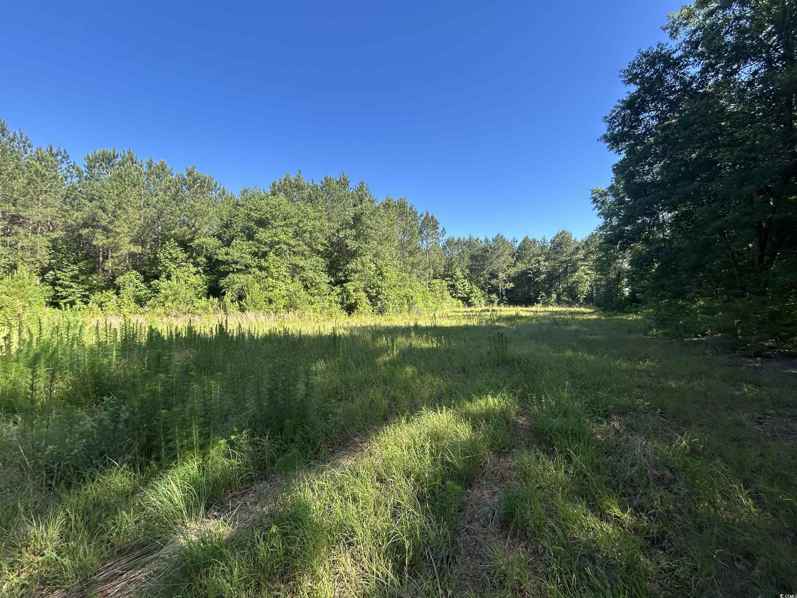 Tbd Thurgood Dr Property Photo 5