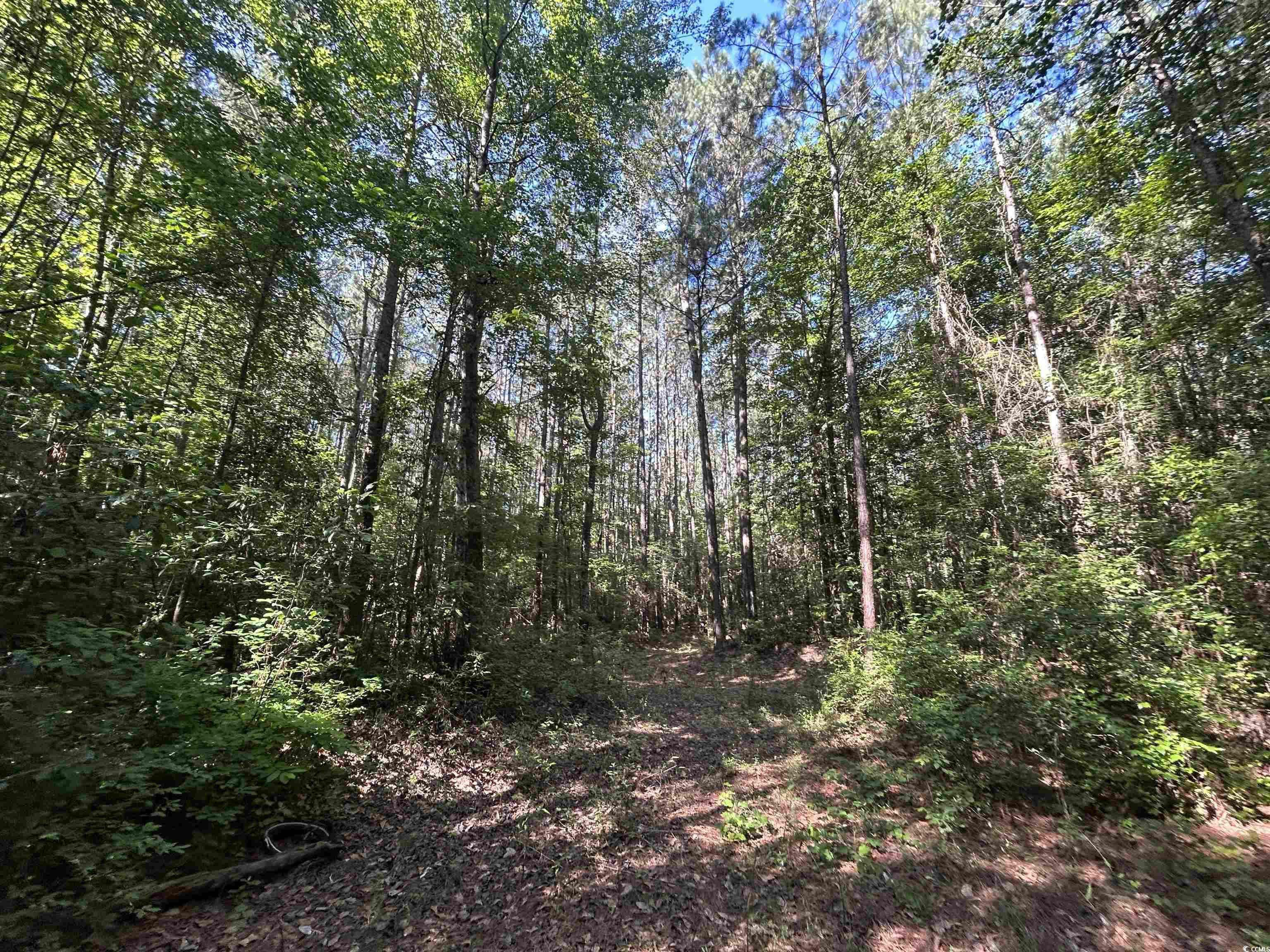 Tbd Thurgood Dr Property Photo 6