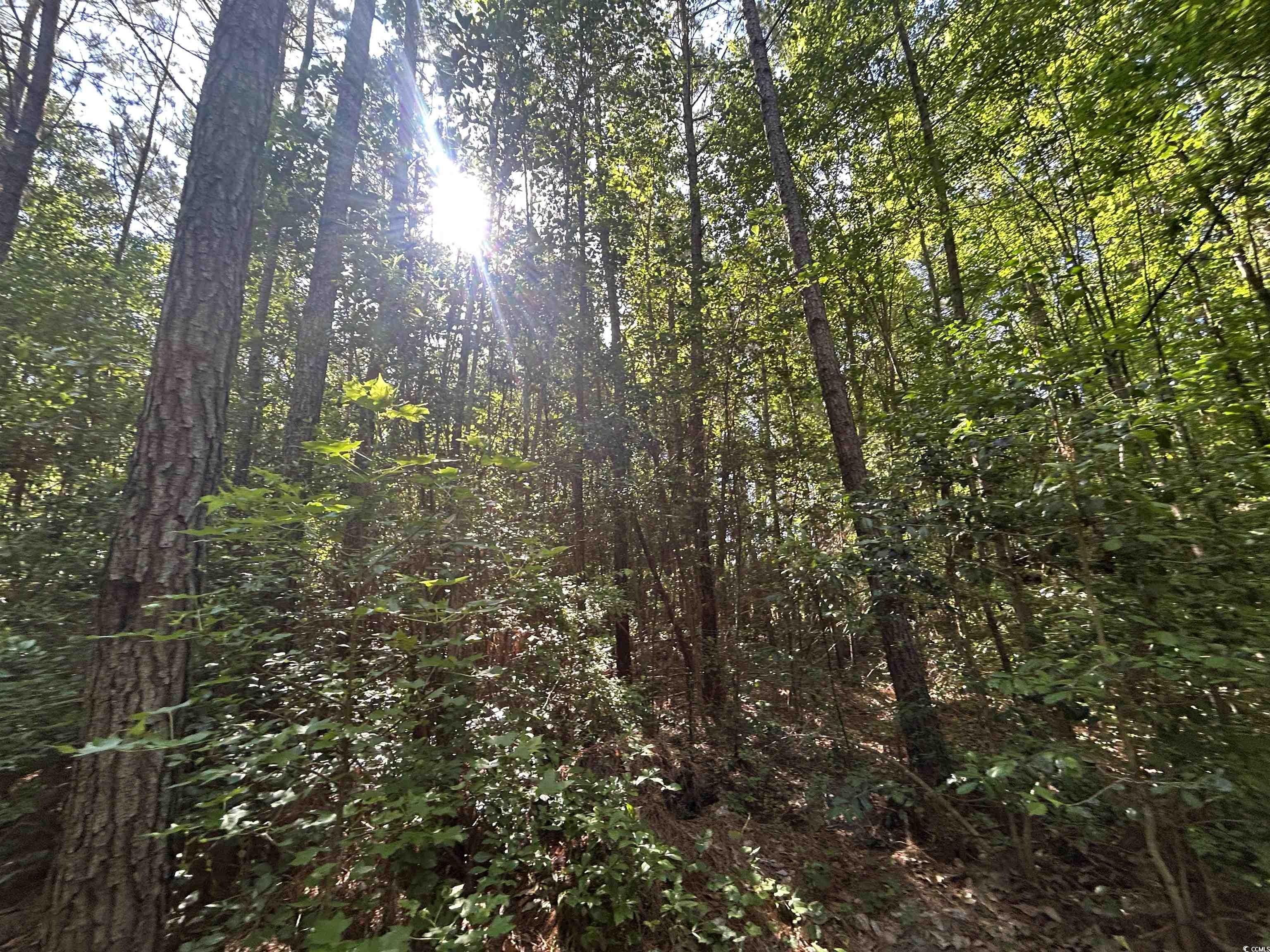 Tbd Thurgood Dr Property Photo 7