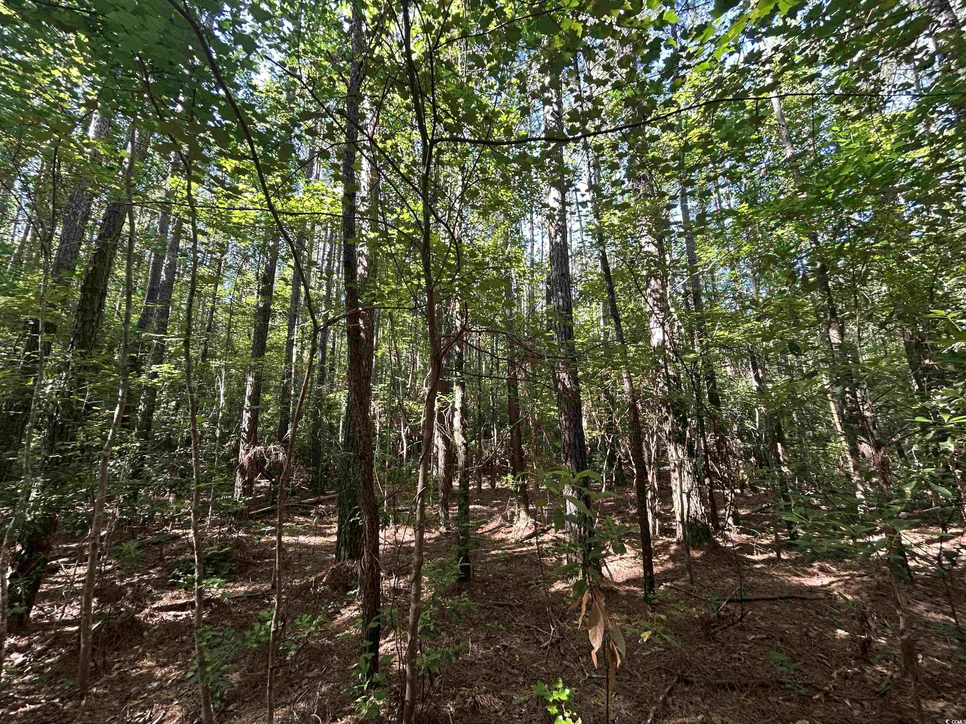 Tbd Thurgood Dr Property Photo 8