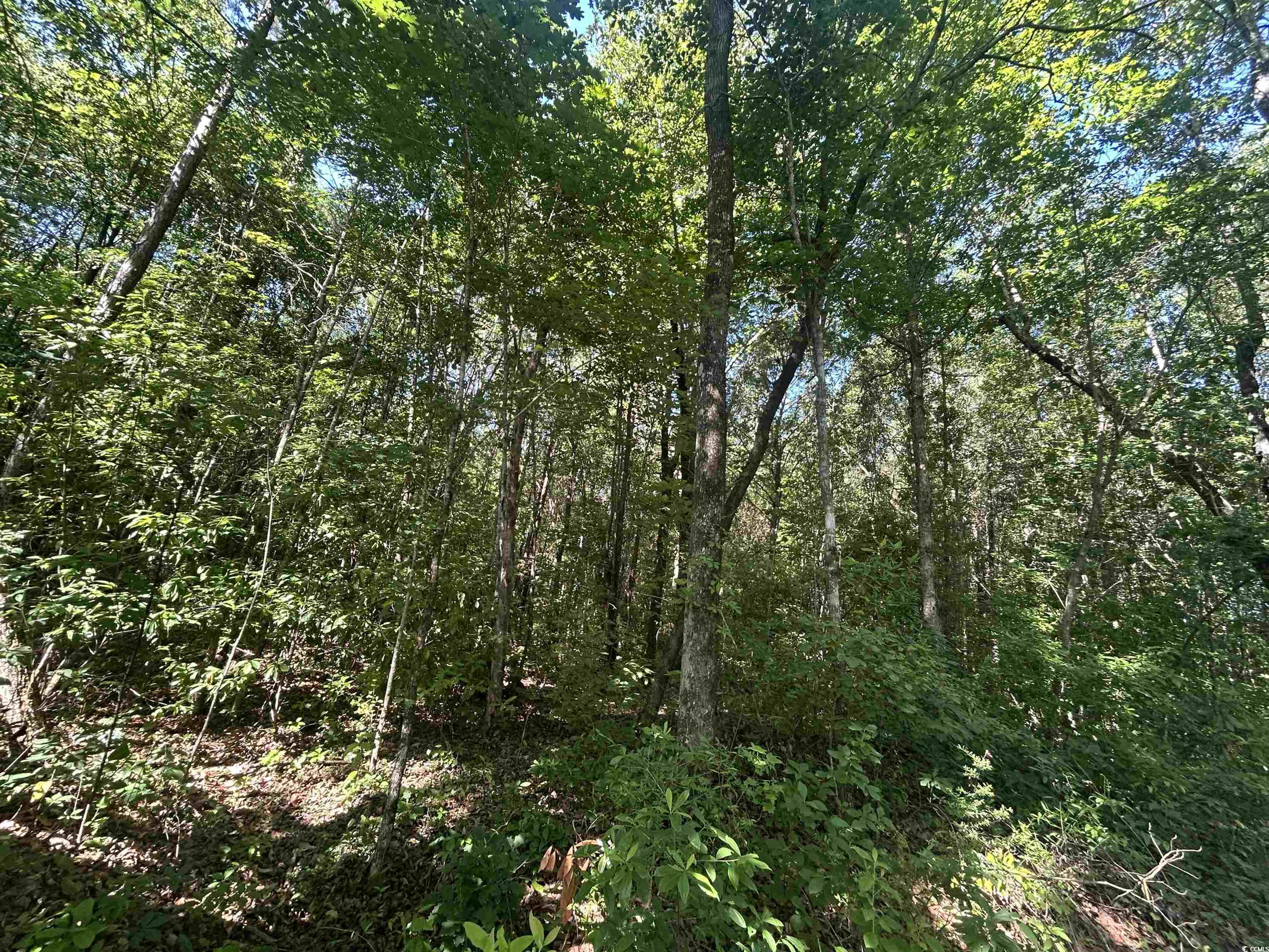 Tbd Thurgood Dr Property Photo 10