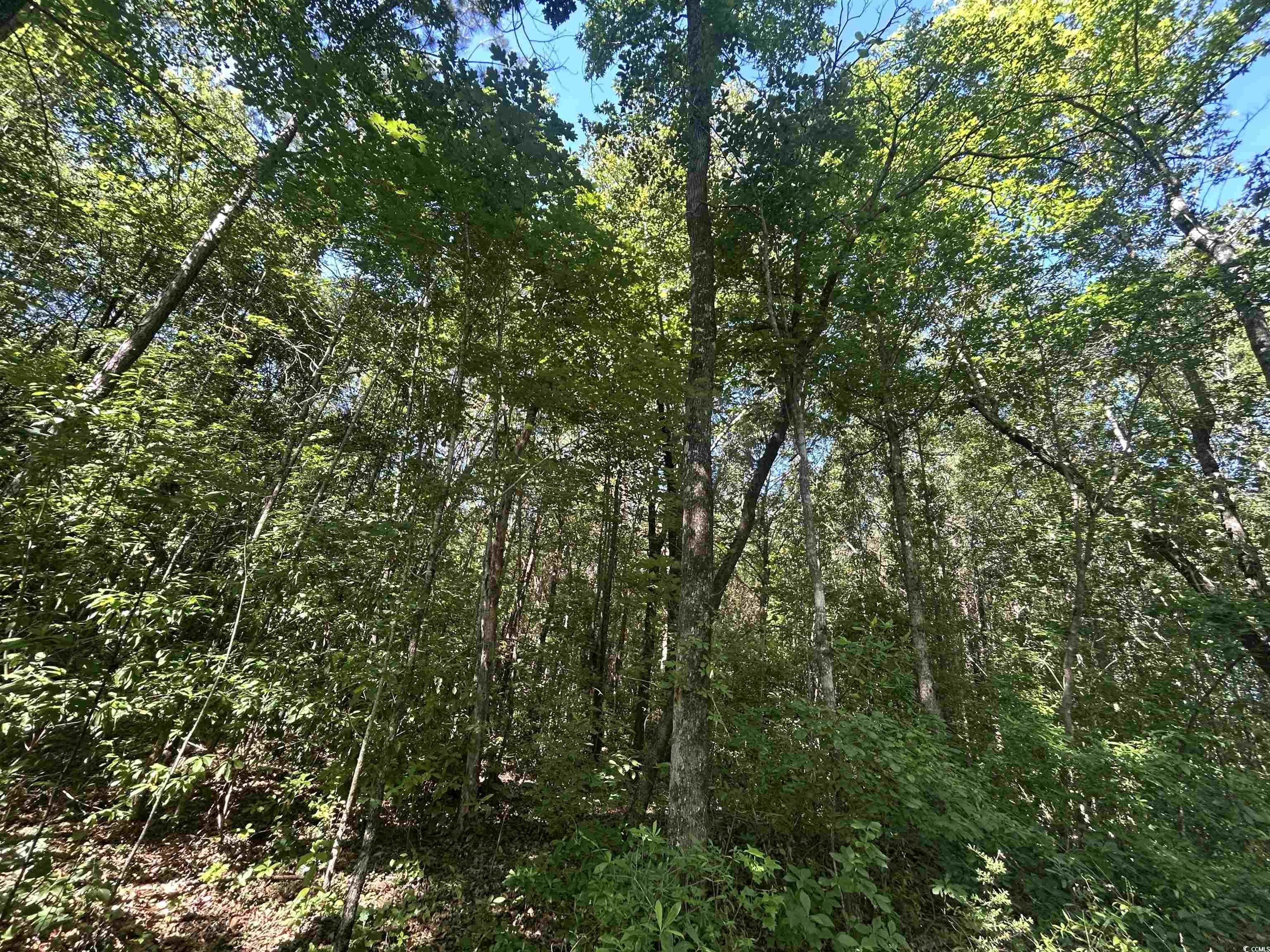 Tbd Thurgood Dr Property Photo 11