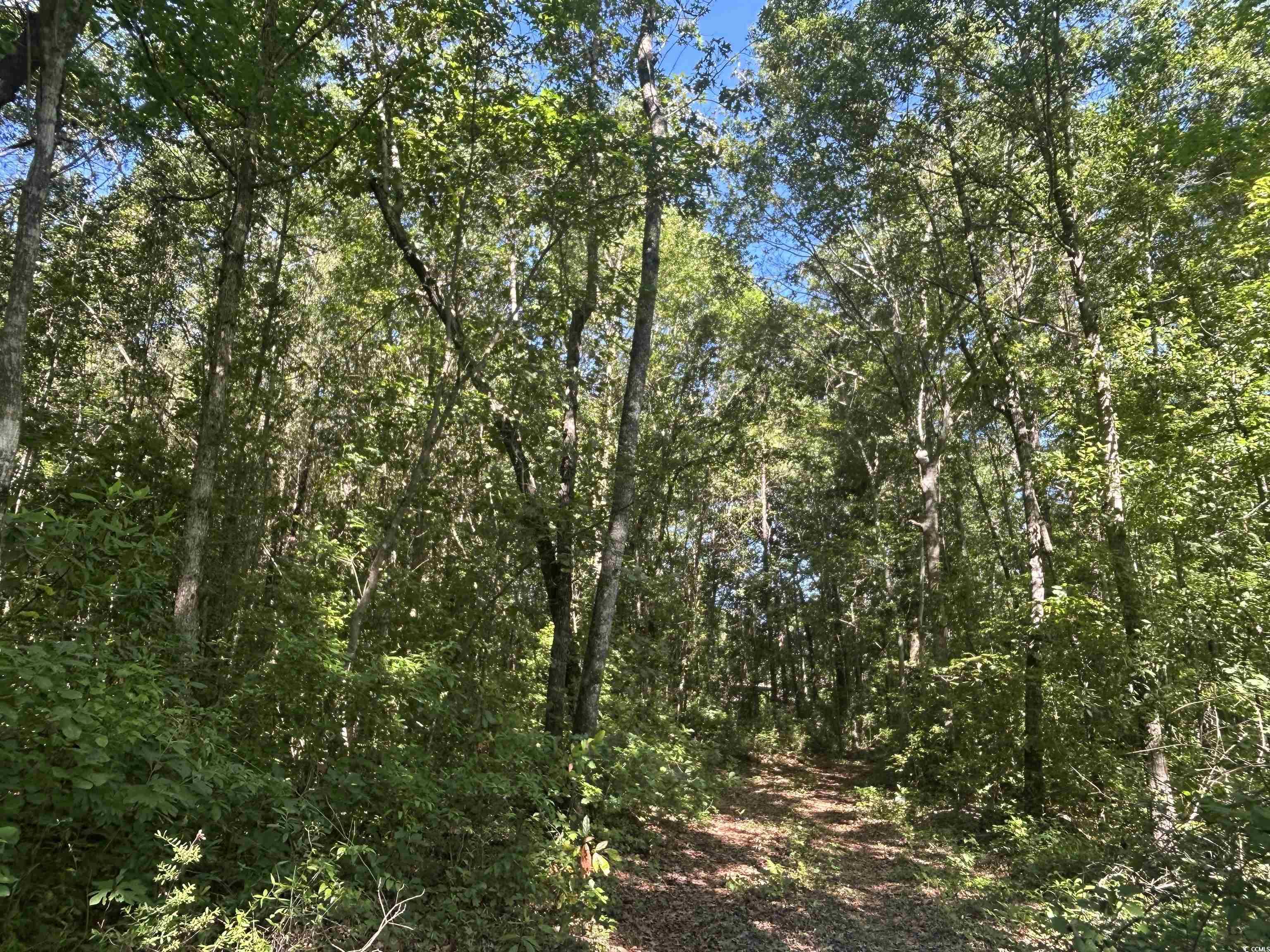 Tbd Thurgood Dr Property Photo 12