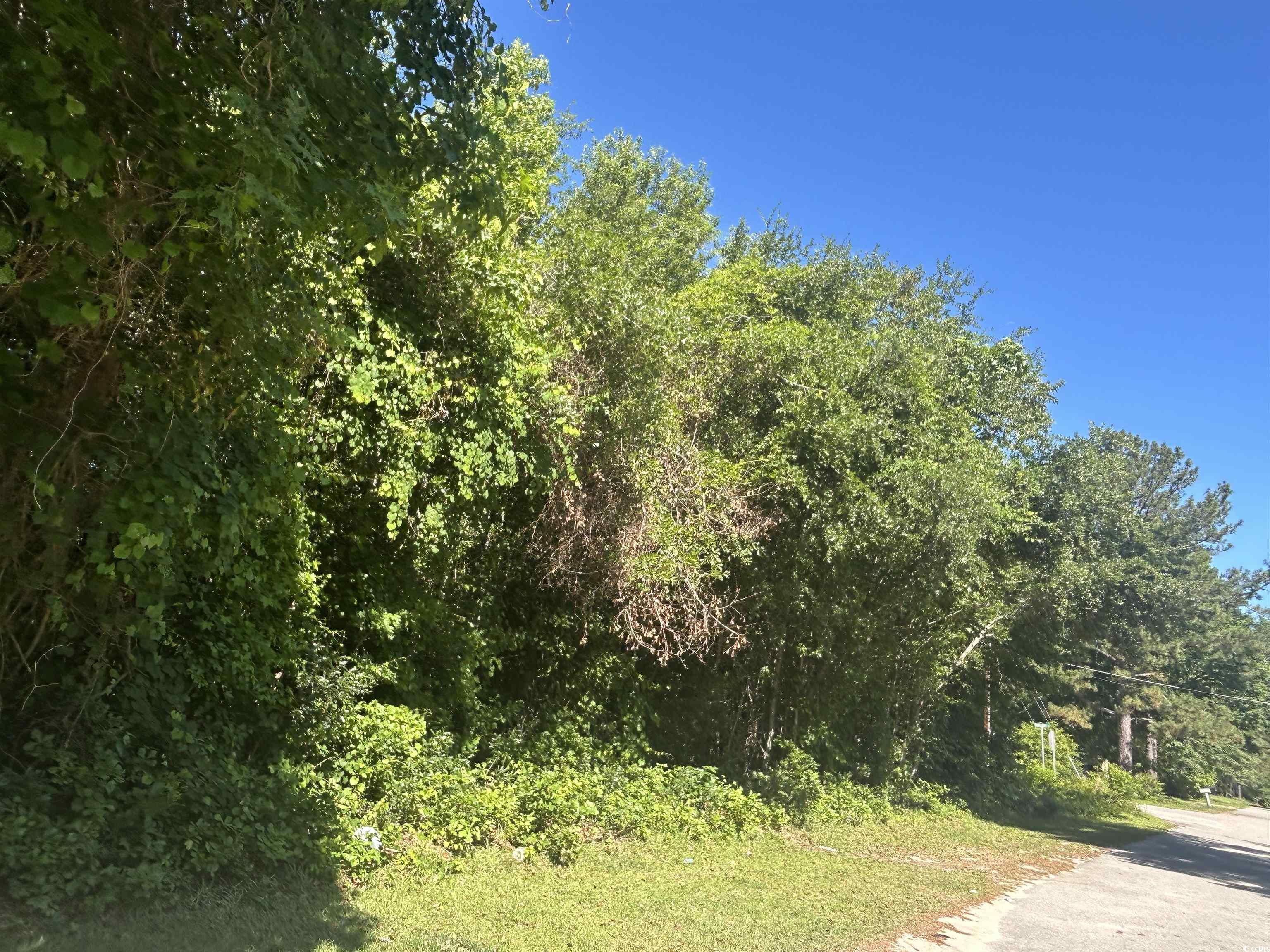 Tbd Thurgood Dr Property Photo 13