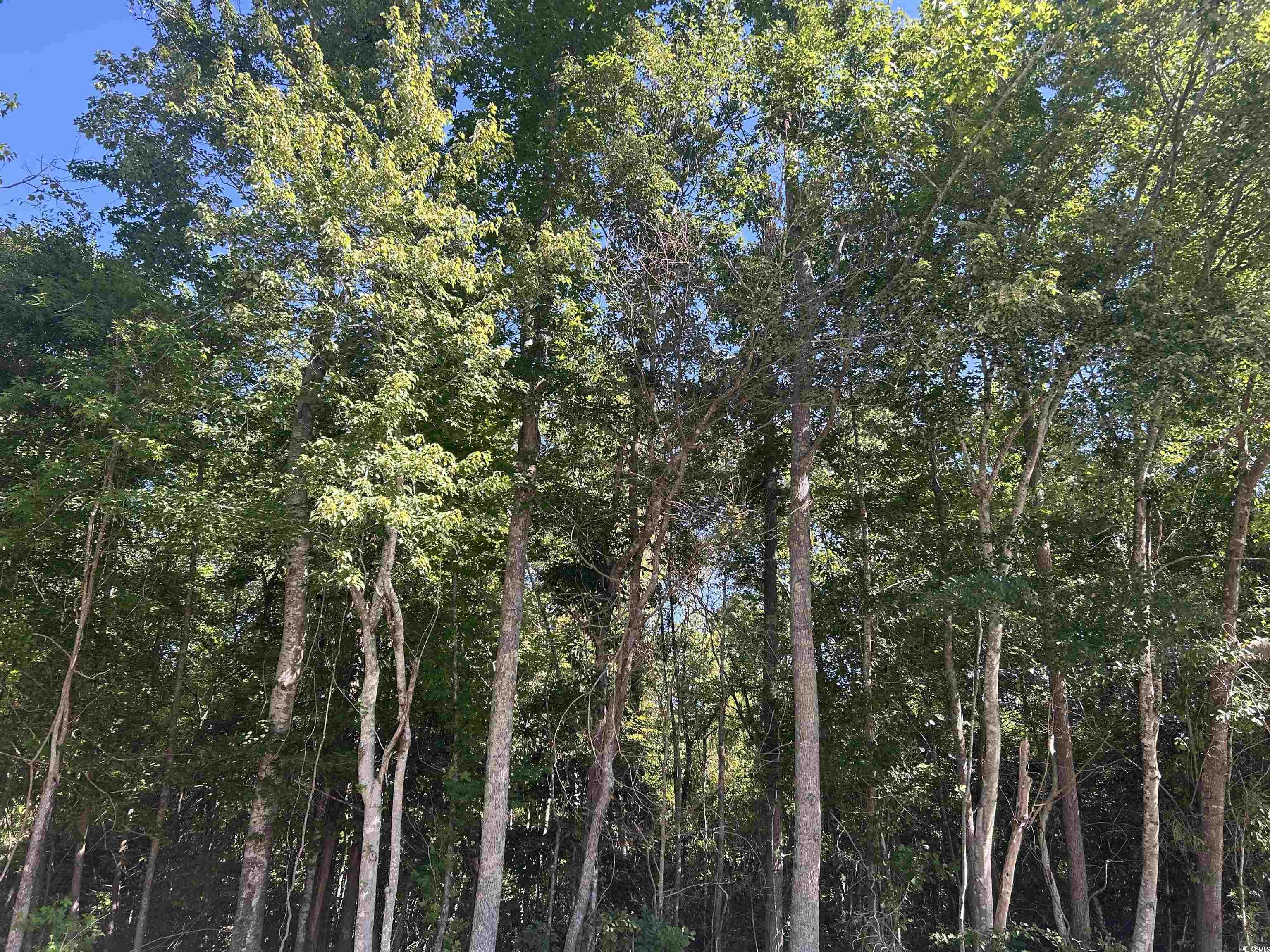 Tbd Thurgood Dr Property Photo 14