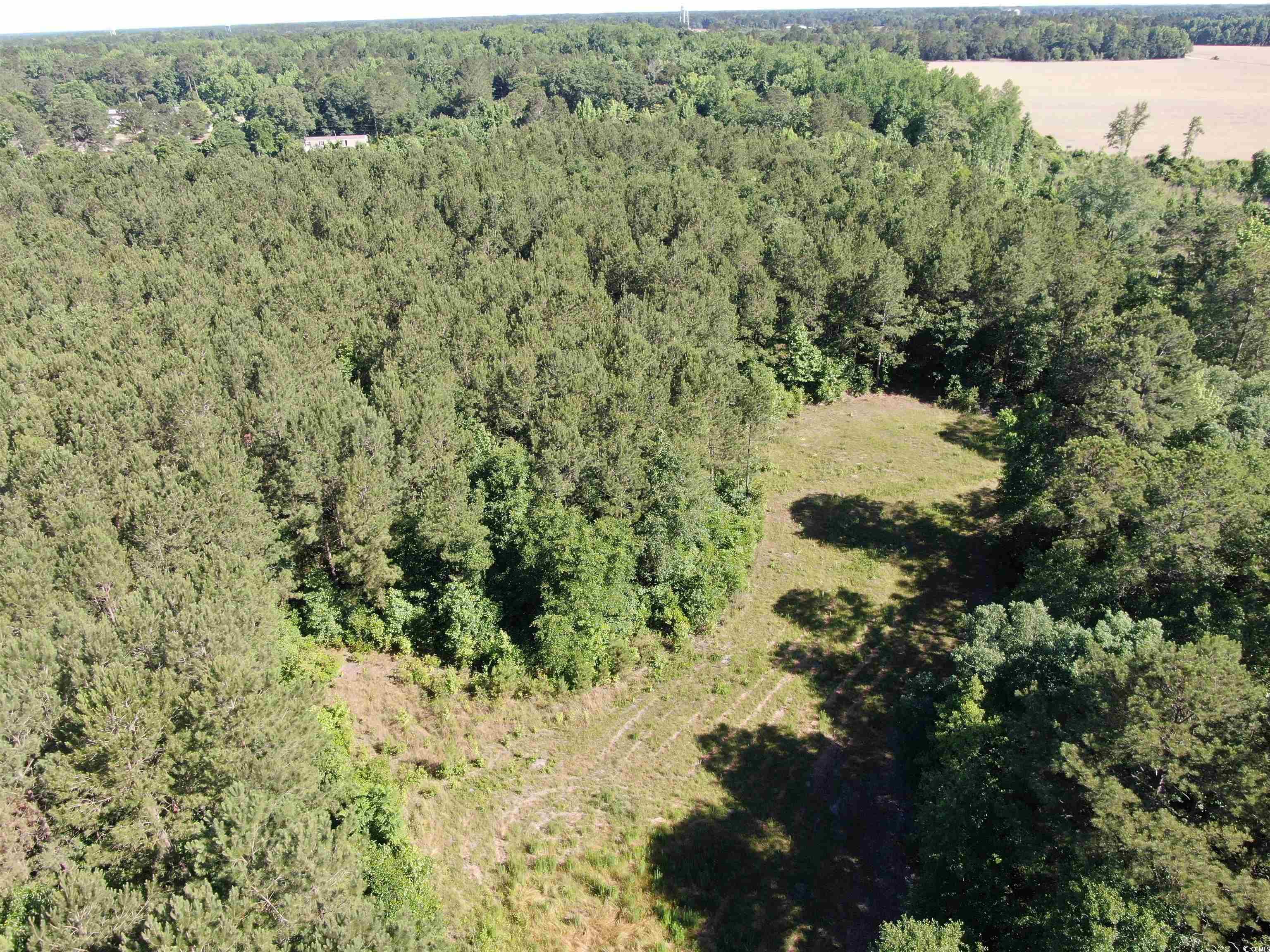 Tbd Thurgood Dr Property Photo 16