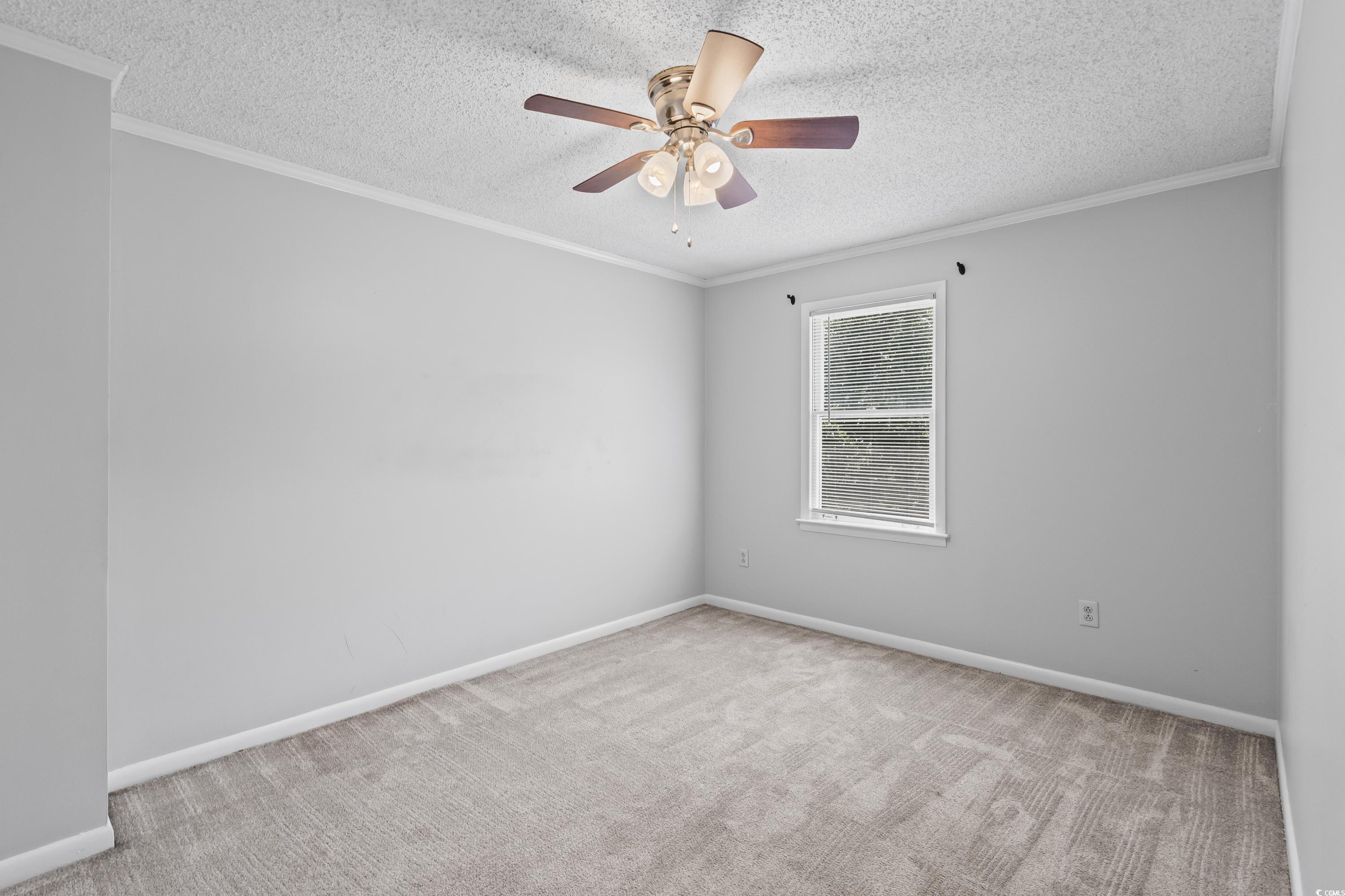 4115 Little River Rd. Property Photo 19