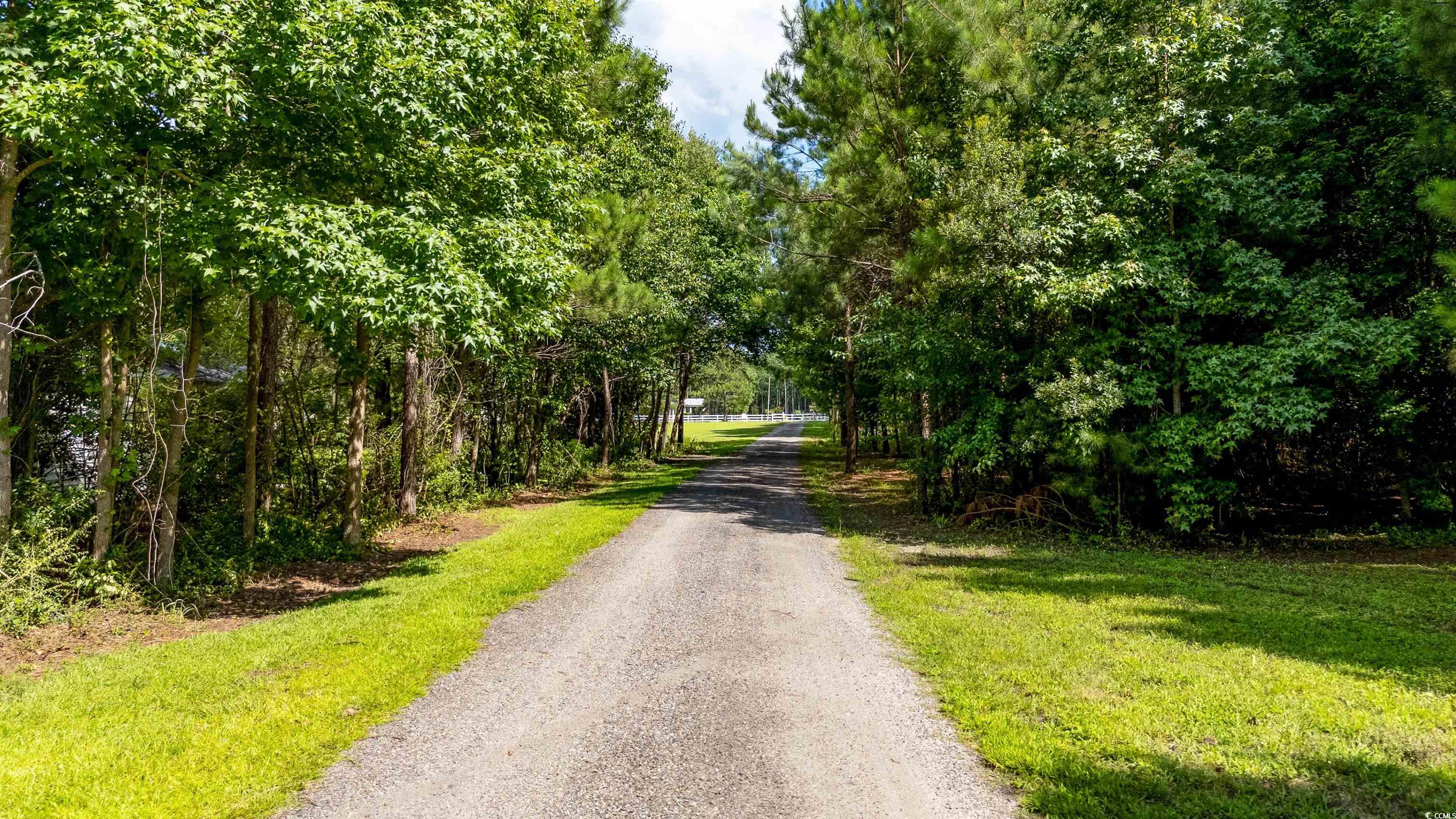 151 Kings Cove Ct. Property Photo 11