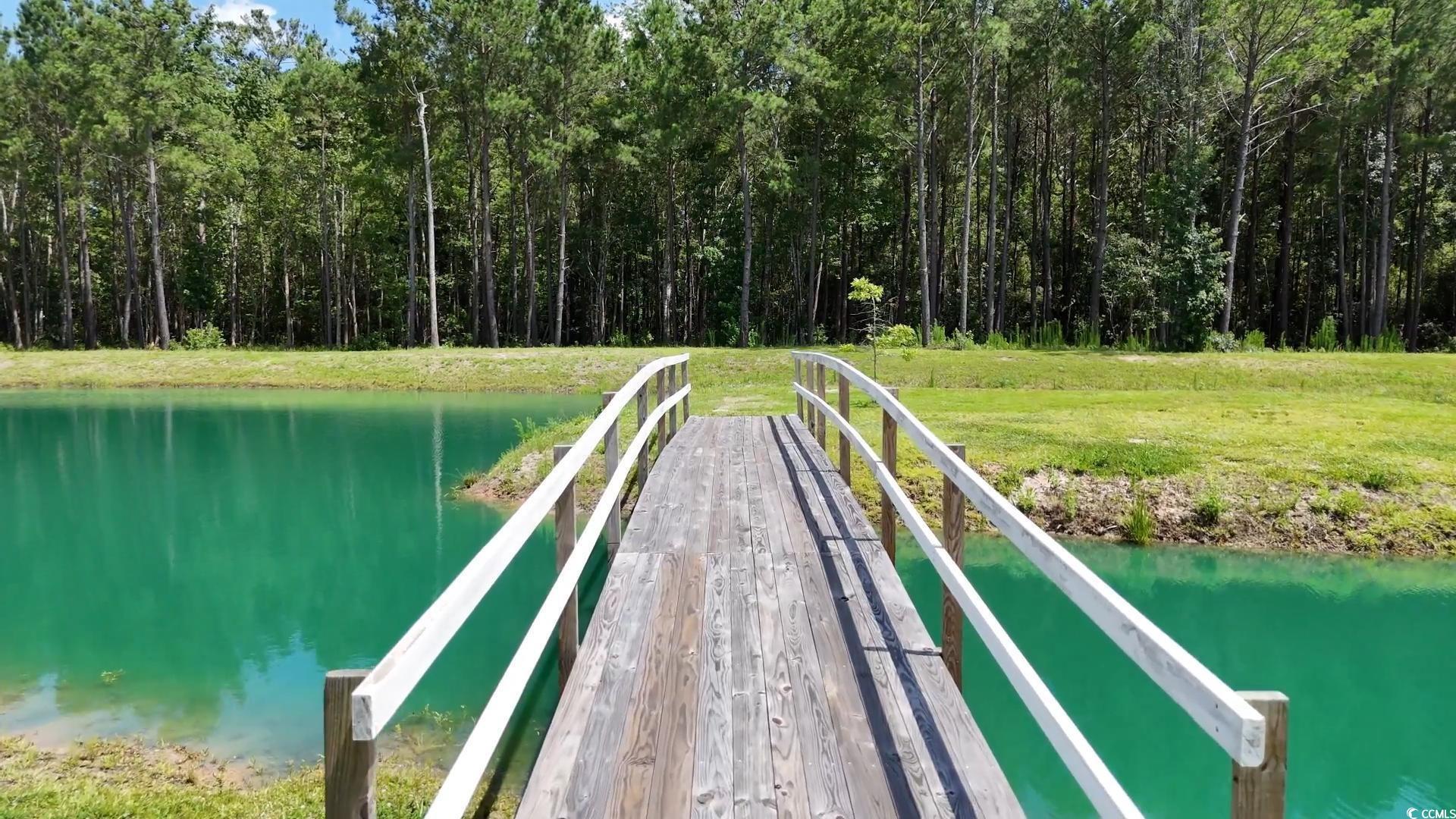 151 Kings Cove Ct. Property Photo 16