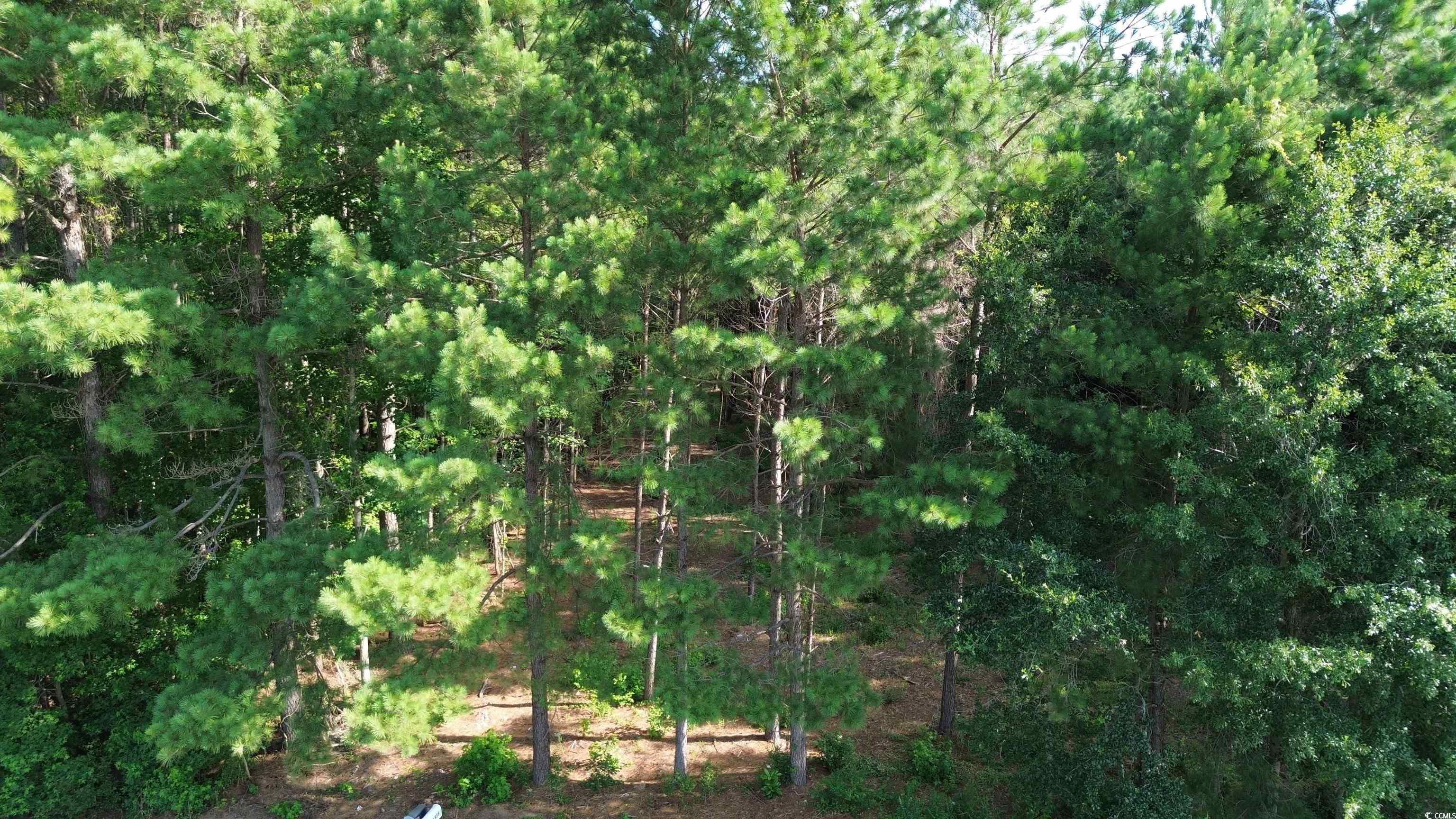 Tbd Highway 762 Property Photo 3