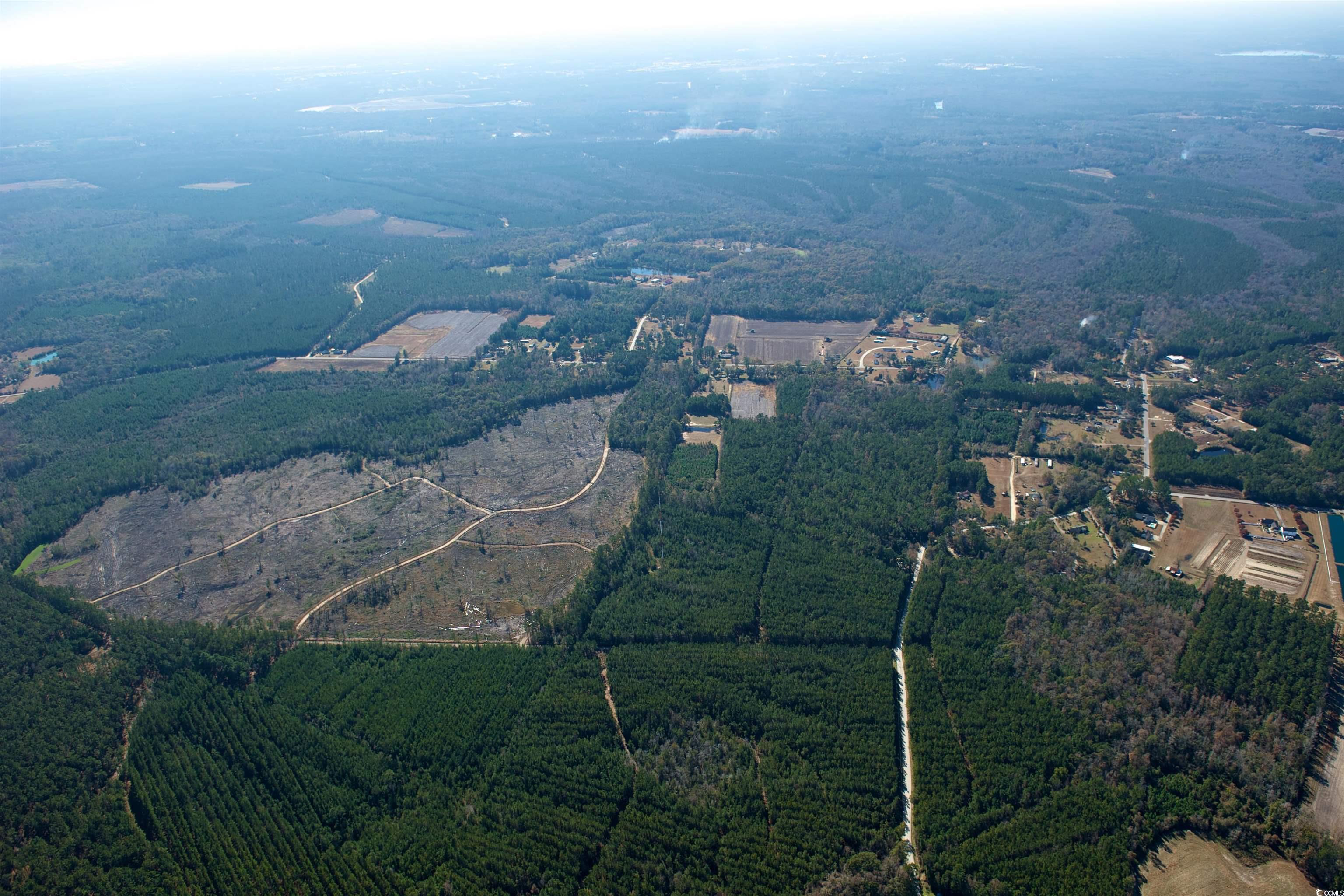 Tbd Grahamville Rd. Property Photo 4