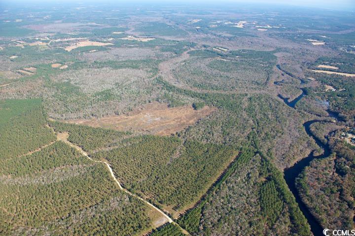 Tbd Grahamville Rd. Property Photo 5