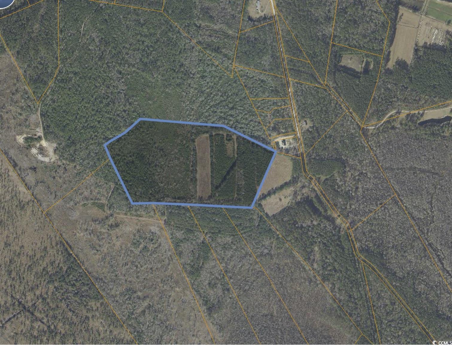 Tbd Grahamville Rd. Property Photo 6