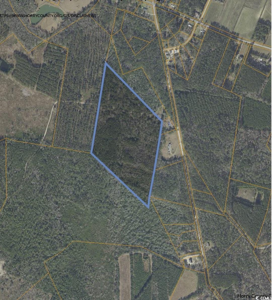 Tbd Grahamville Rd. Property Photo 8