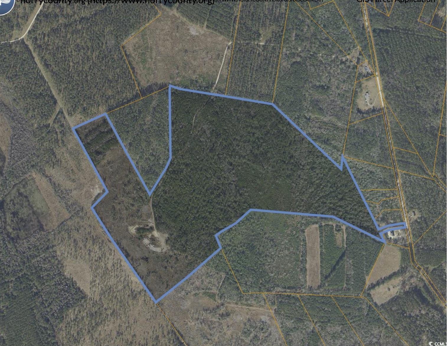 Tbd Grahamville Rd. Property Photo 9