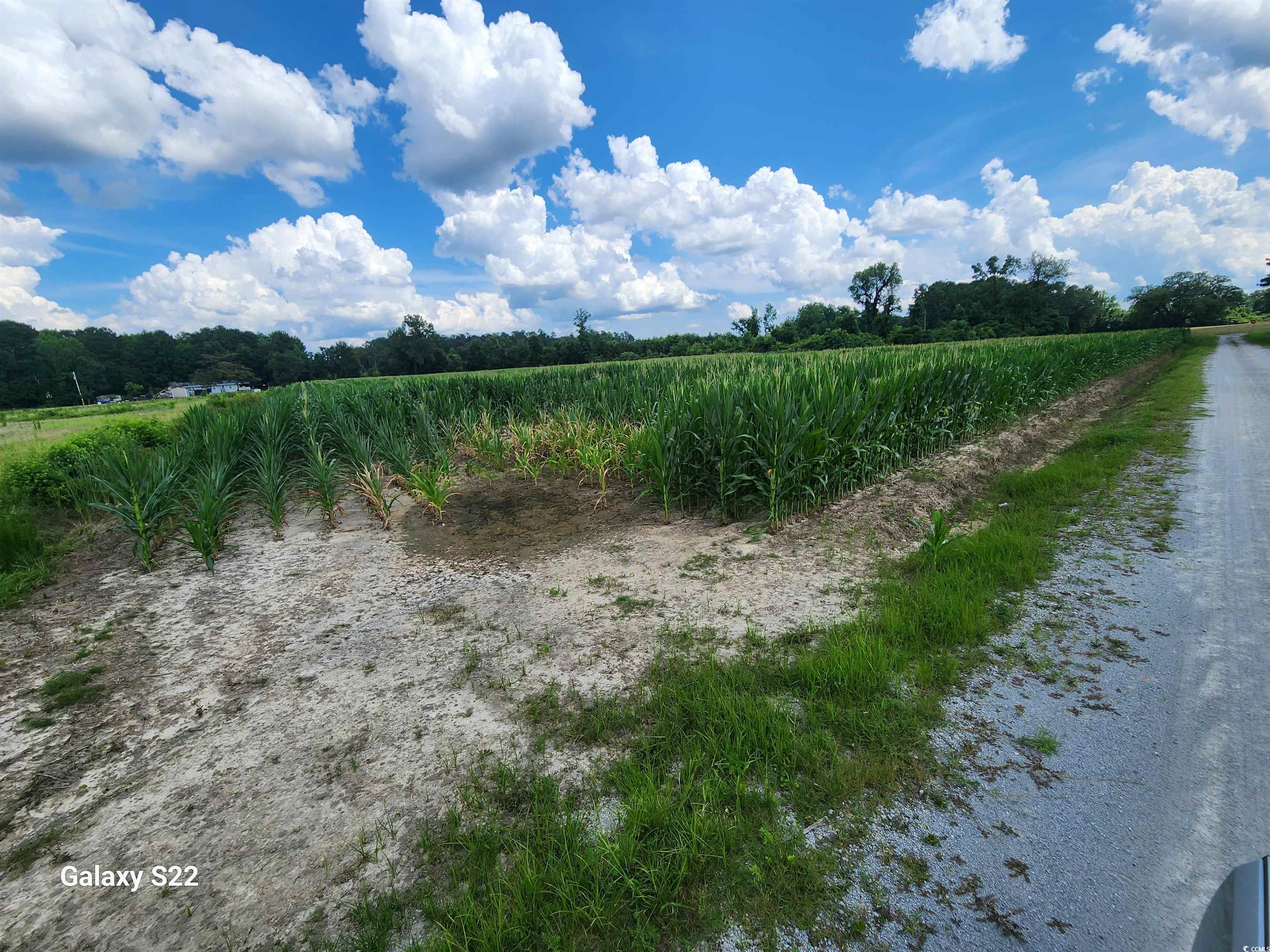 Tbd Fairlane Rd. Property Photo 4