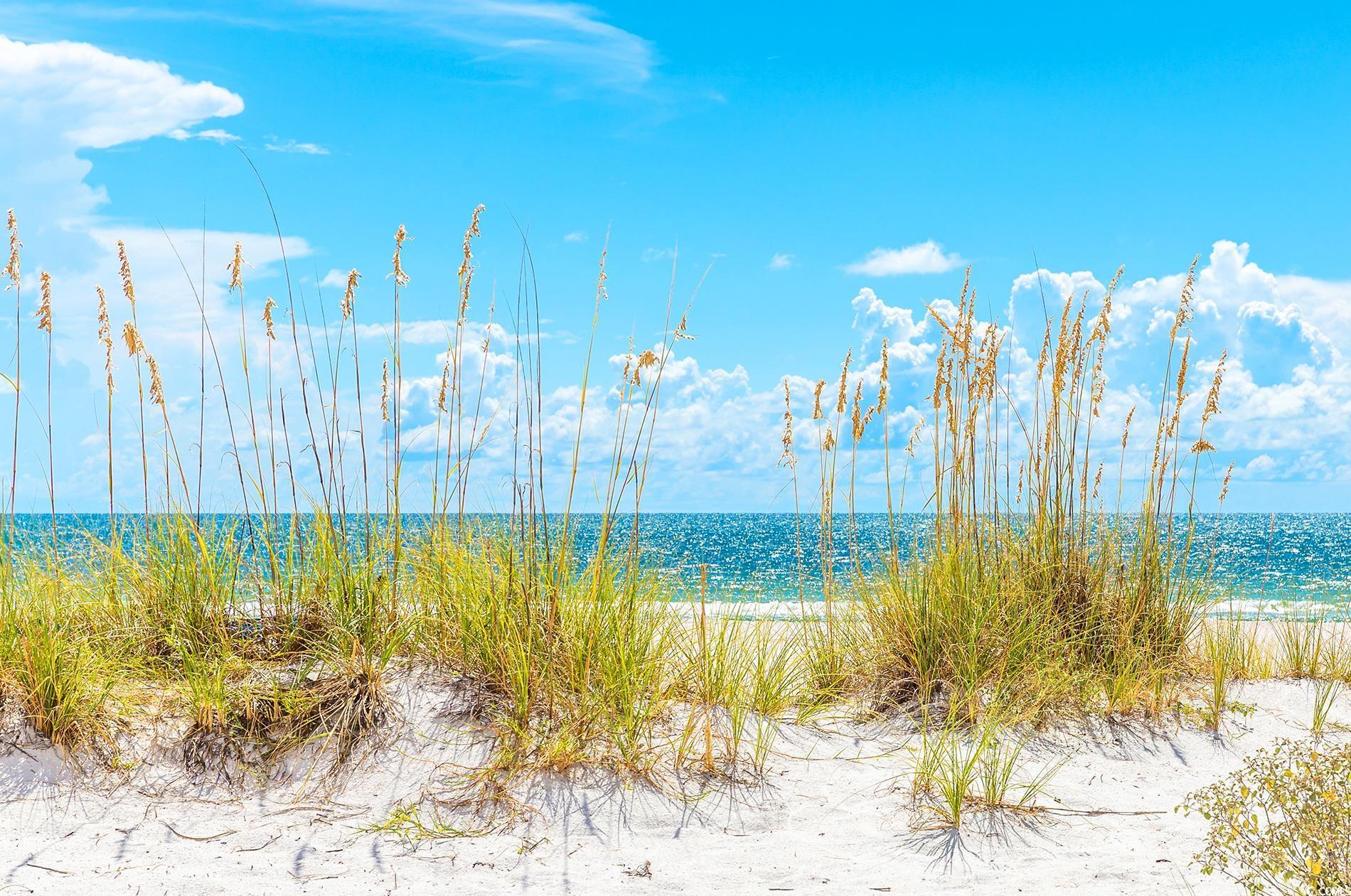 4355 Rivergate Ln. Property Photo 28