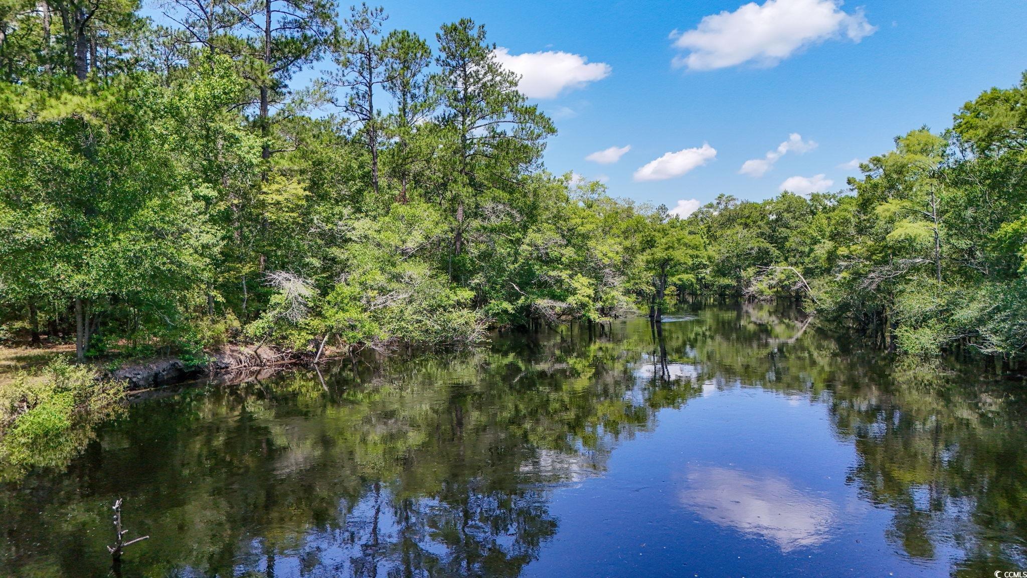 2879 Waccamaw Cove Property Photo 8