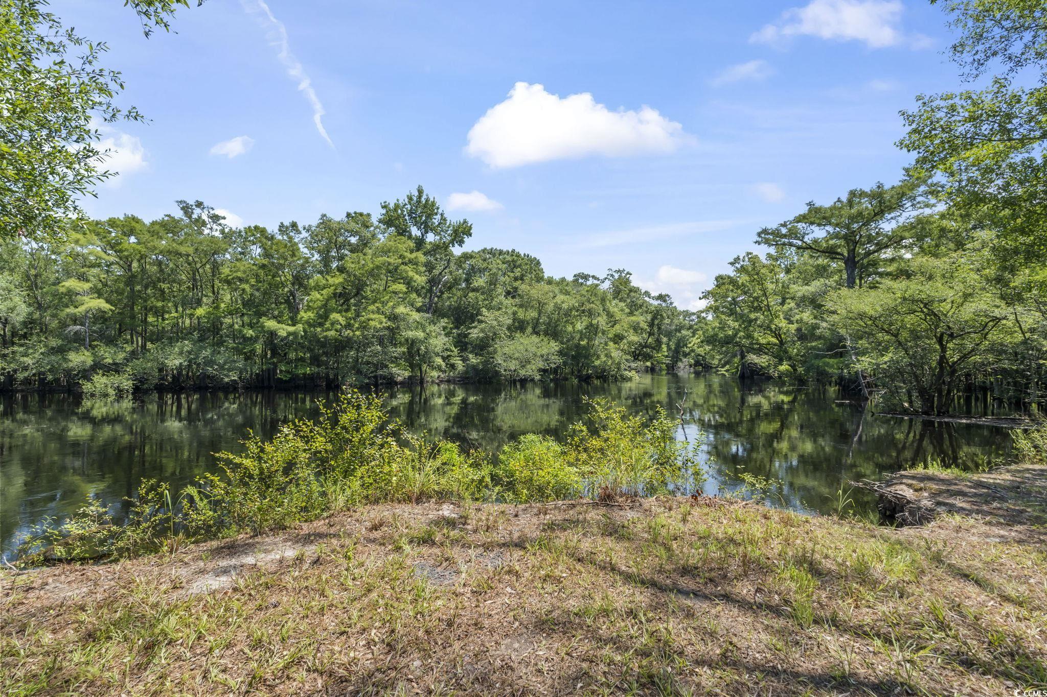 2879 Waccamaw Cove Property Photo 25