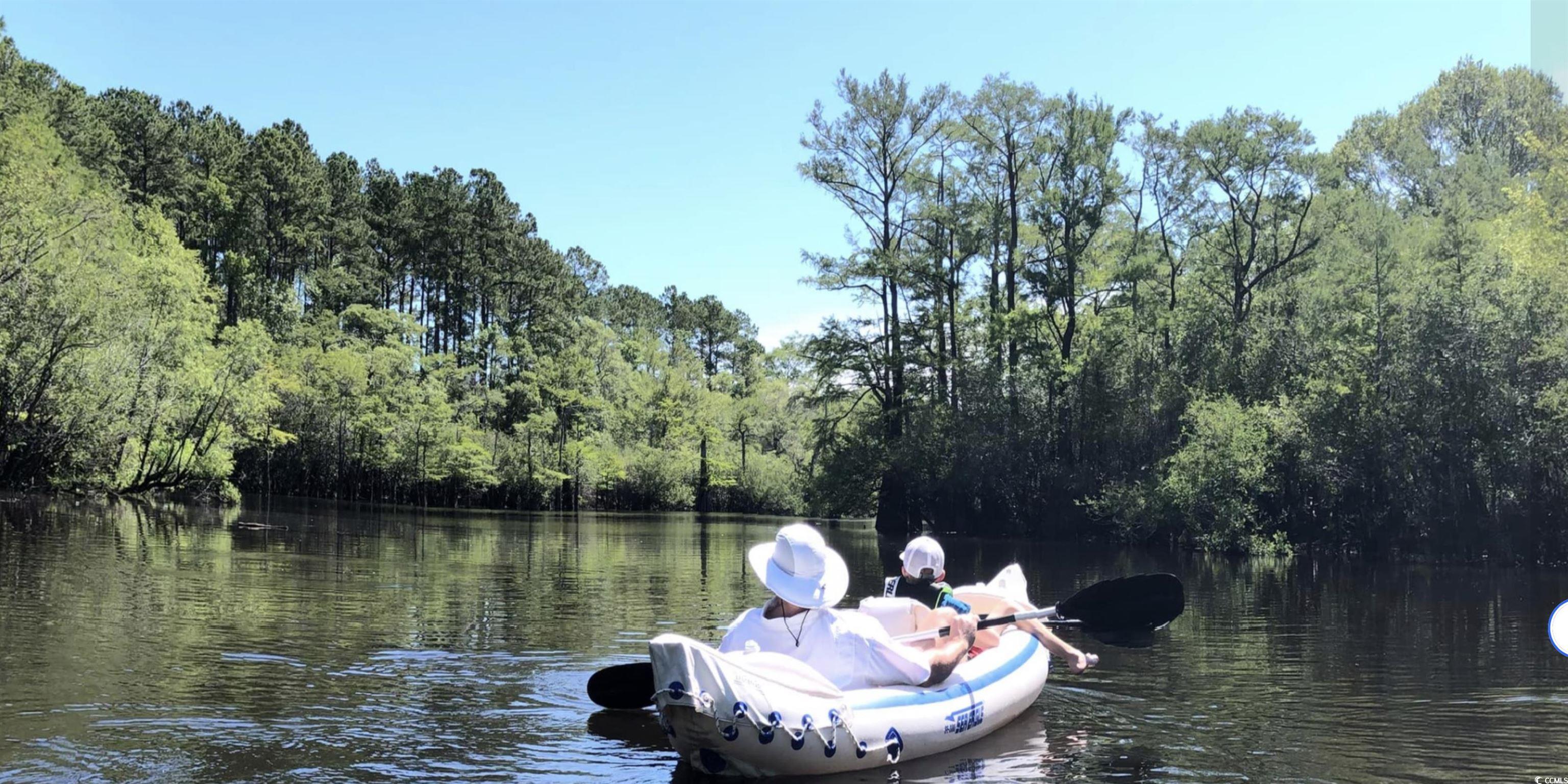 2879 Waccamaw Cove Property Photo 28