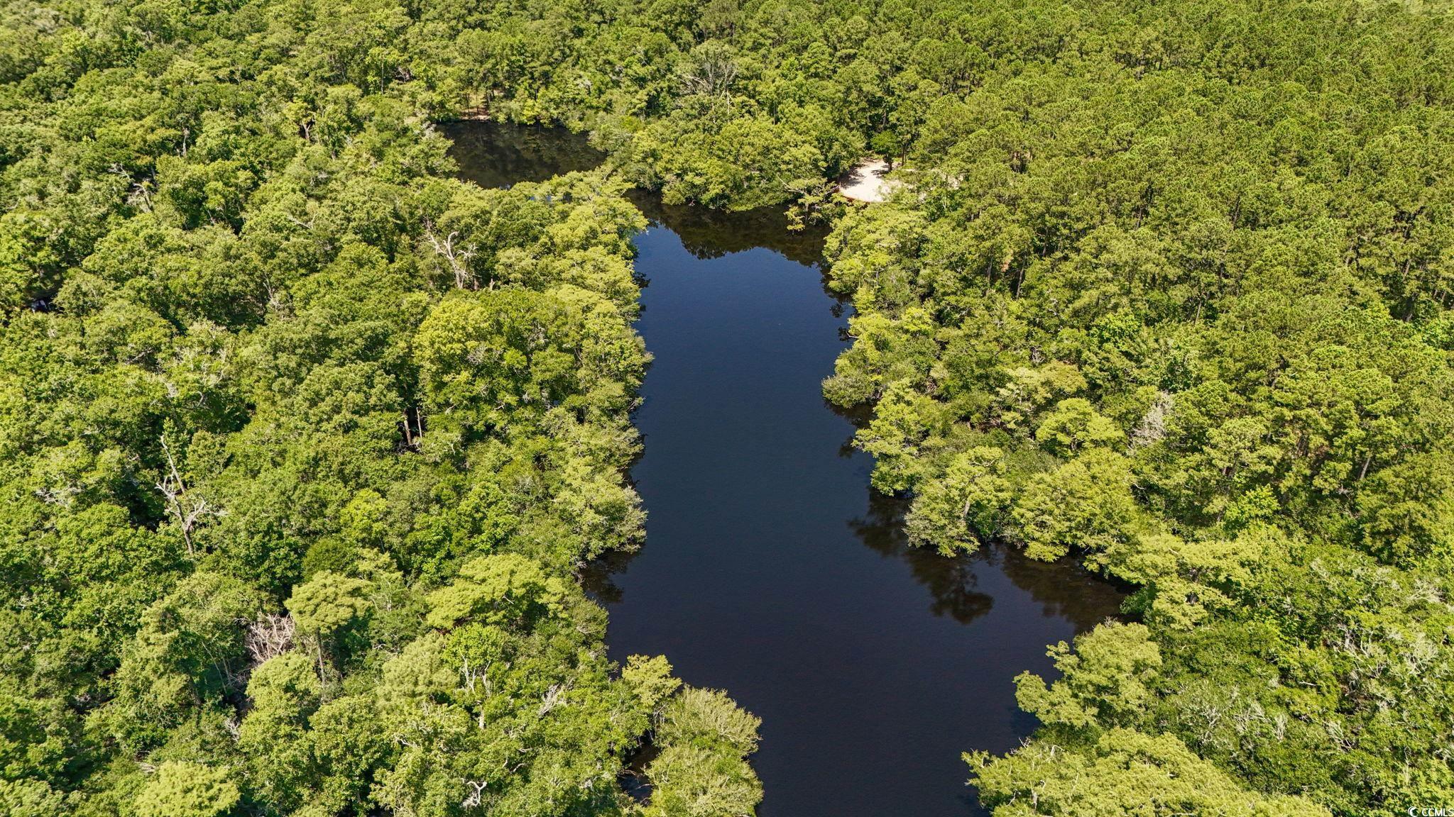 2879 Waccamaw Cove Property Photo 29