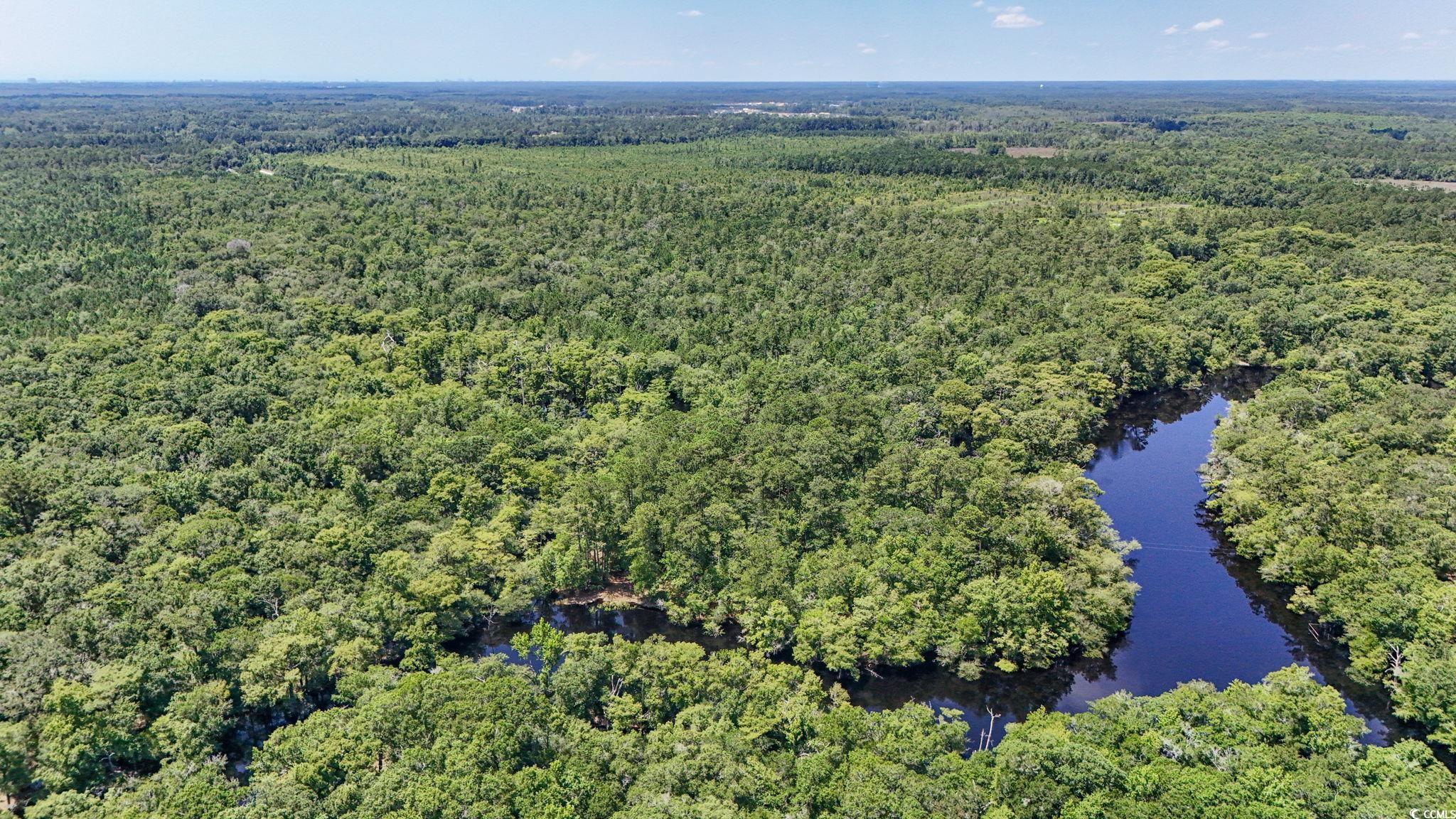 2879 Waccamaw Cove Property Photo 34