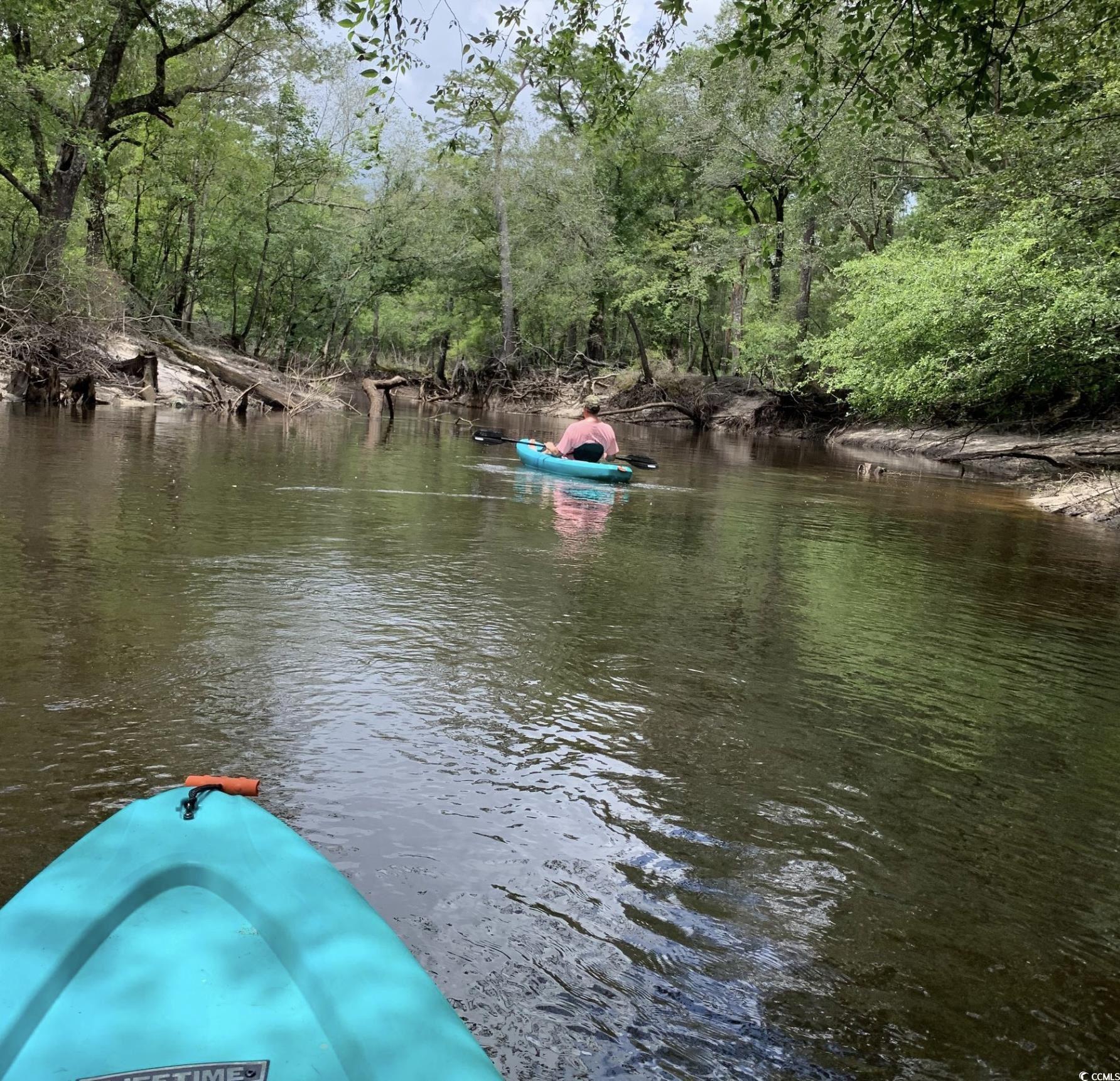 2879 Waccamaw Cove Property Photo 35