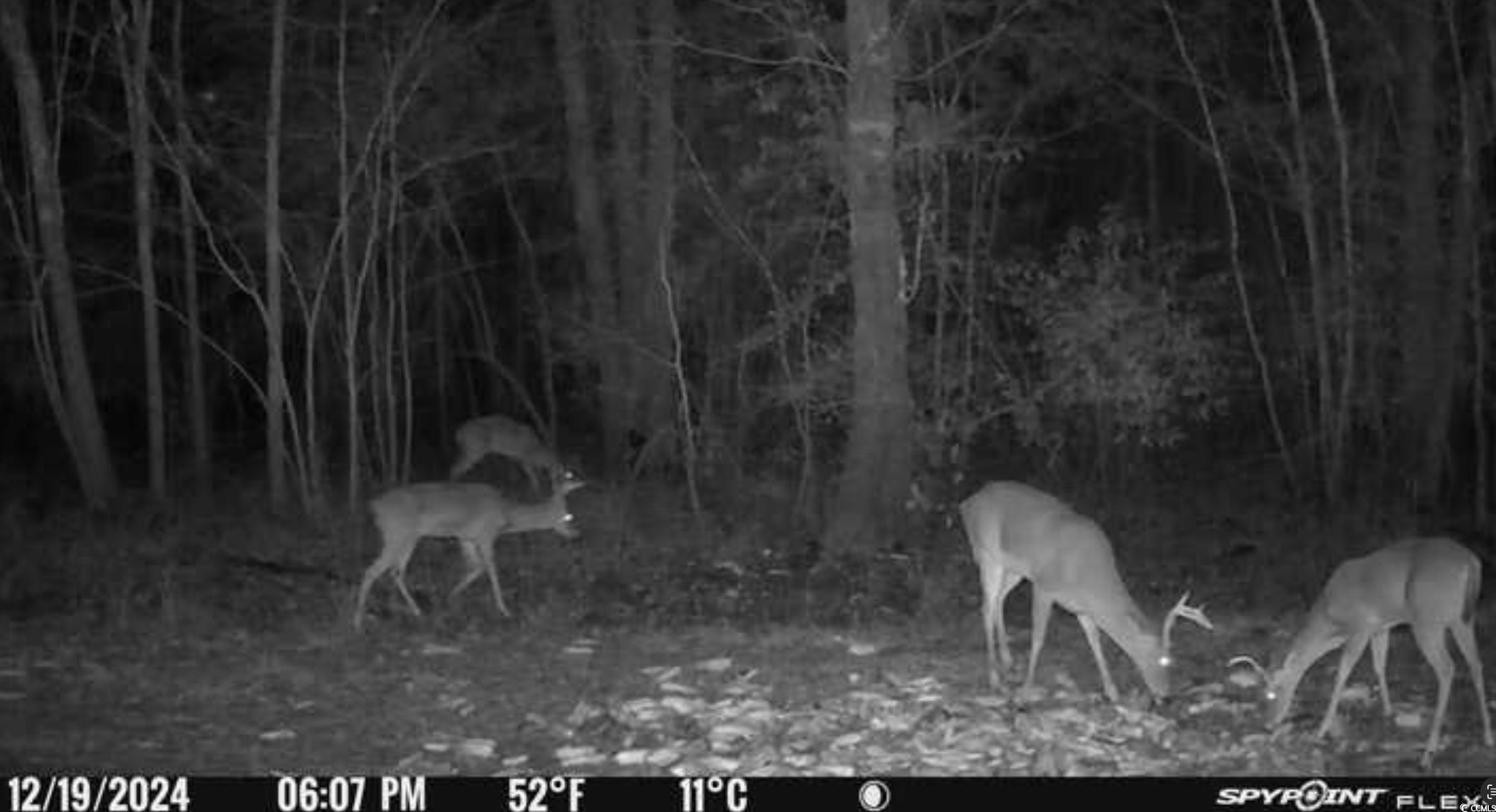 2879 Waccamaw Cove Property Photo 37