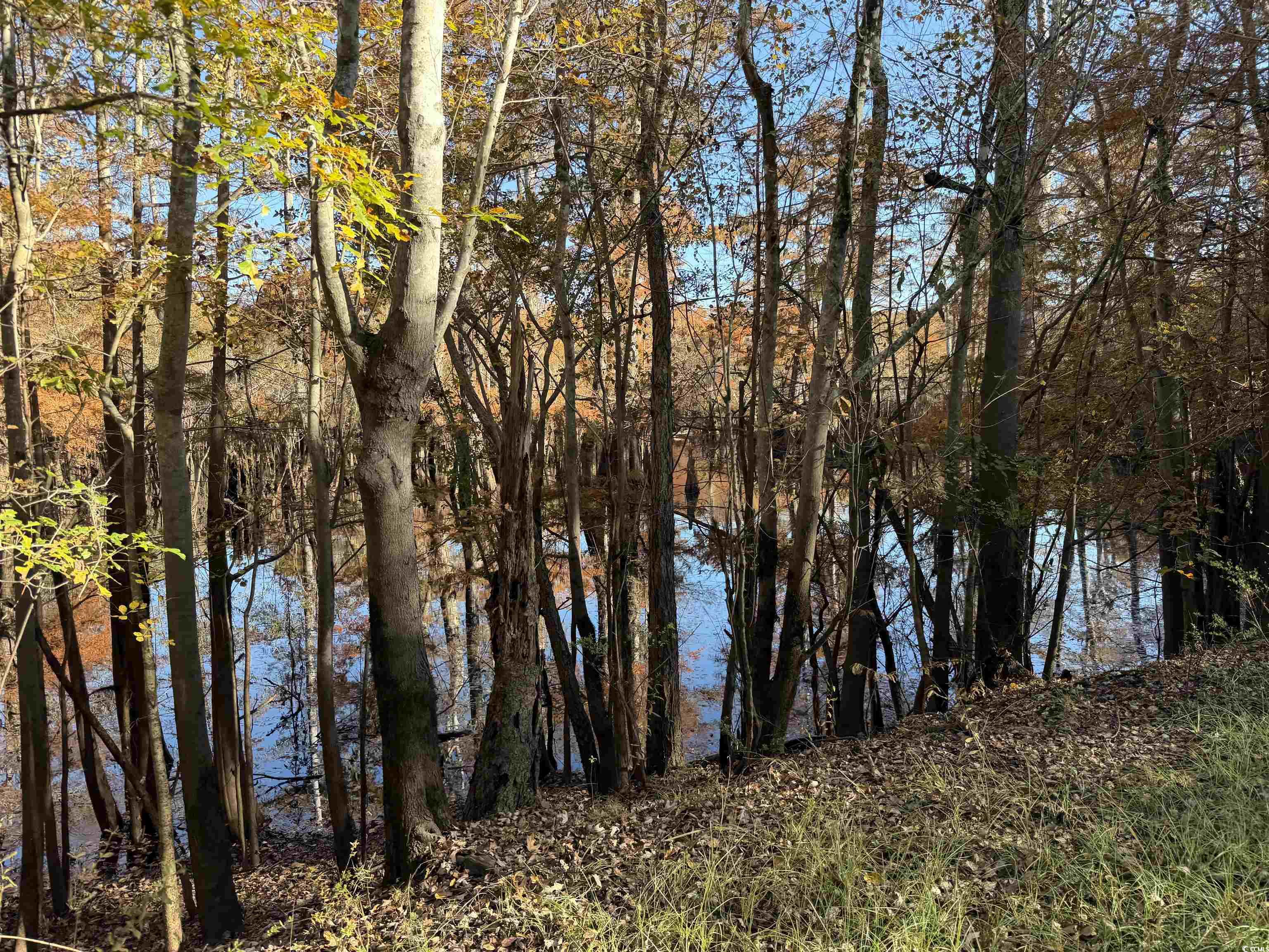 2879 Waccamaw Cove Property Photo 39