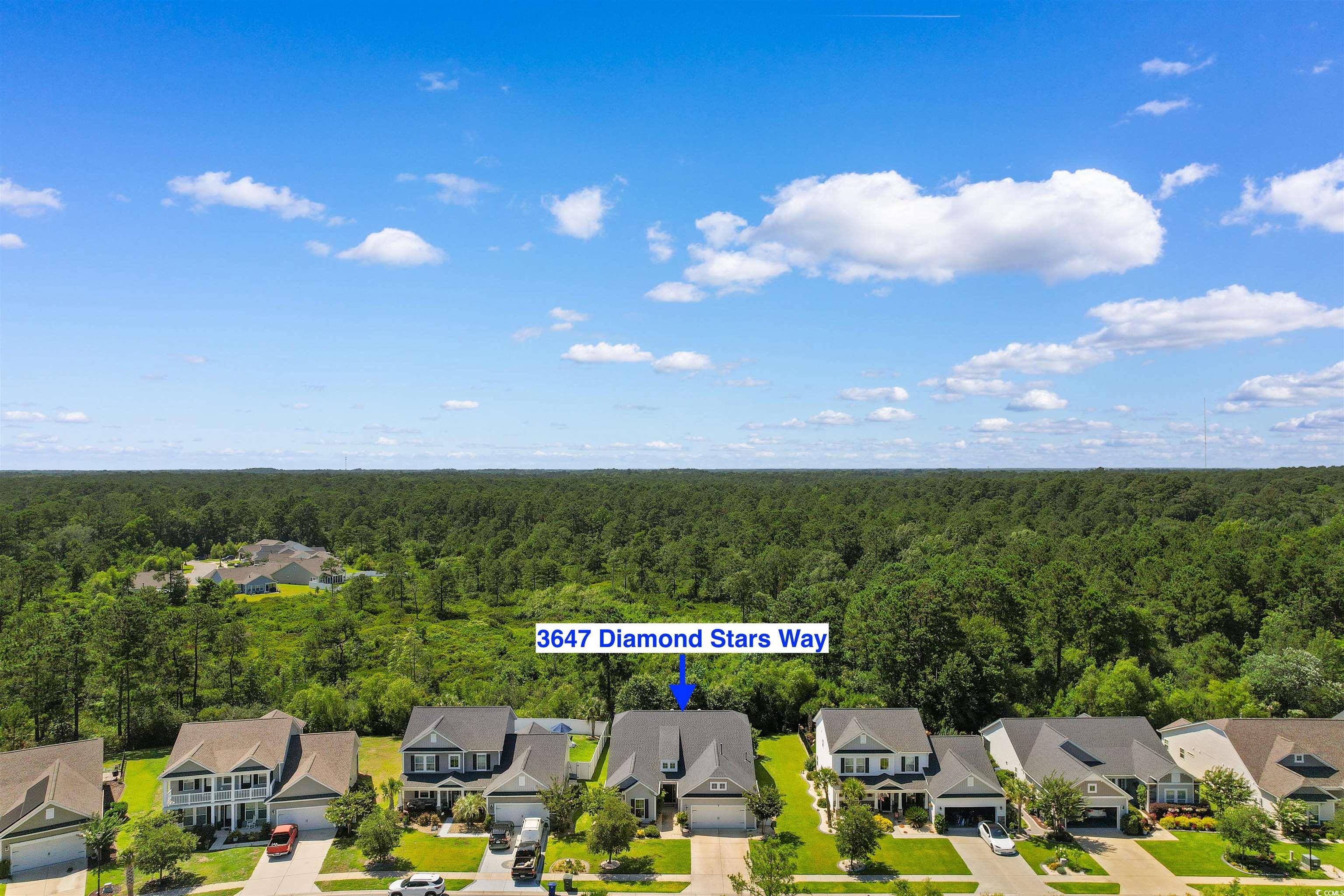 3647 Diamond Stars Way Property Photo 34
