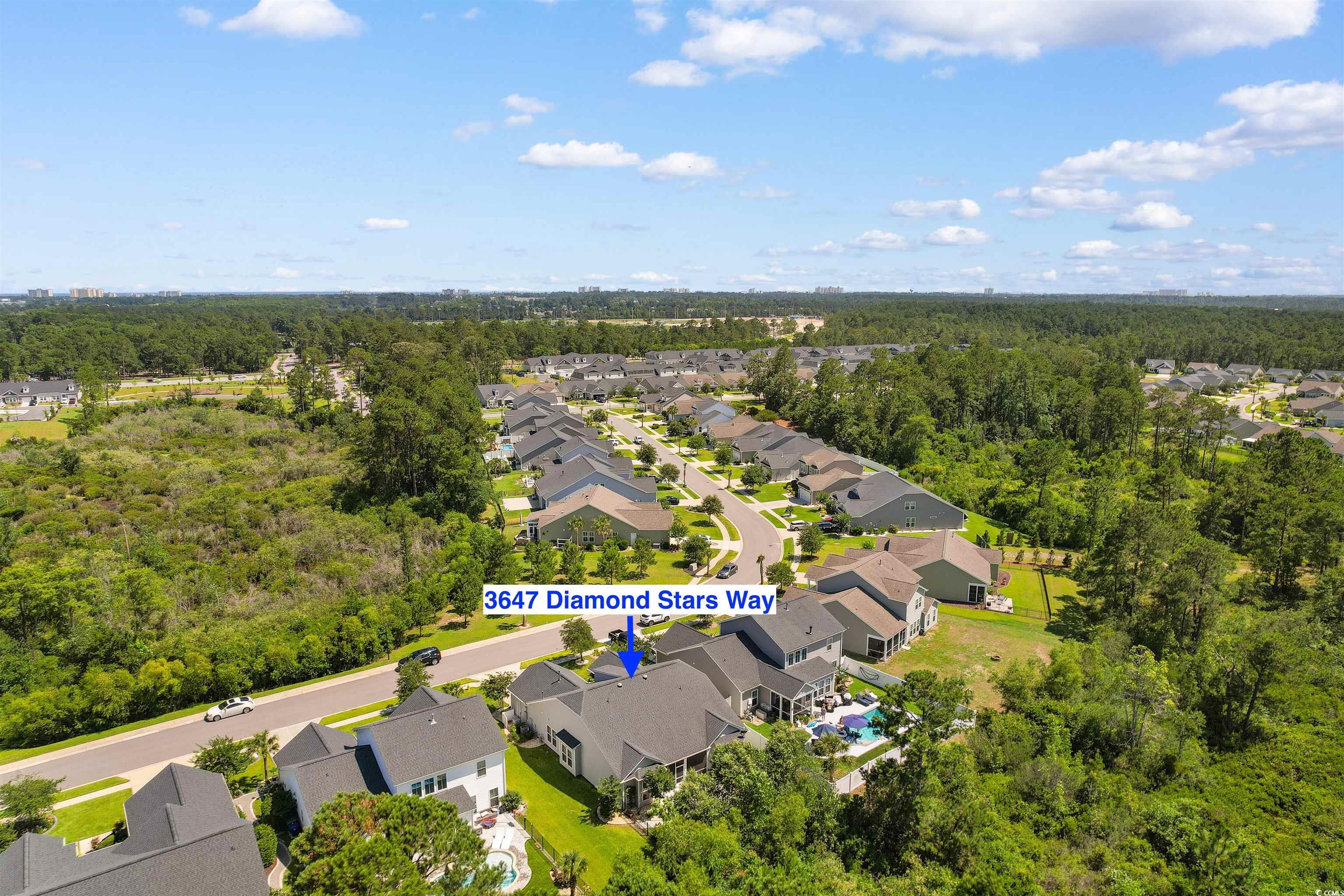 3647 Diamond Stars Way Property Photo 35