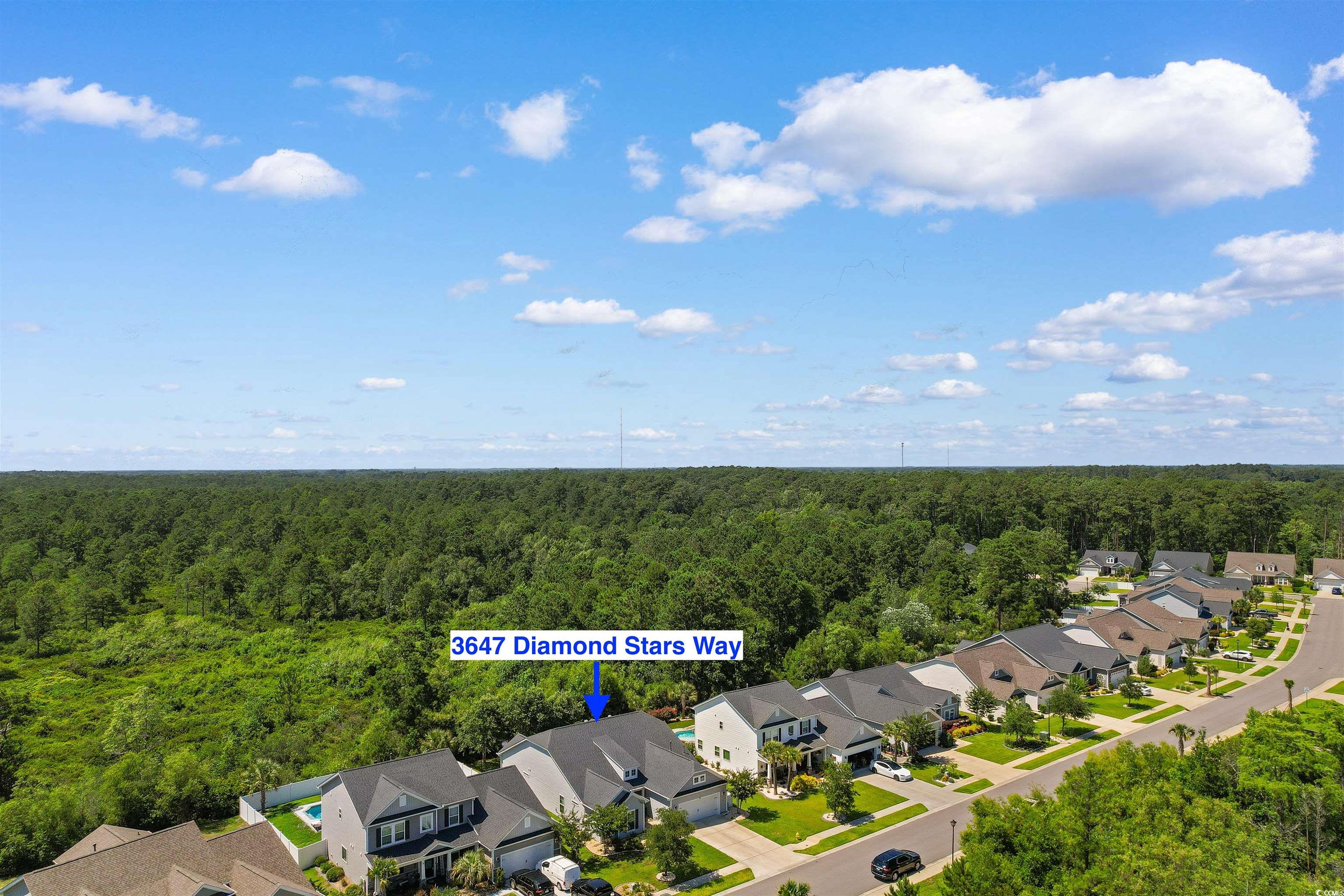 3647 Diamond Stars Way Property Photo 36