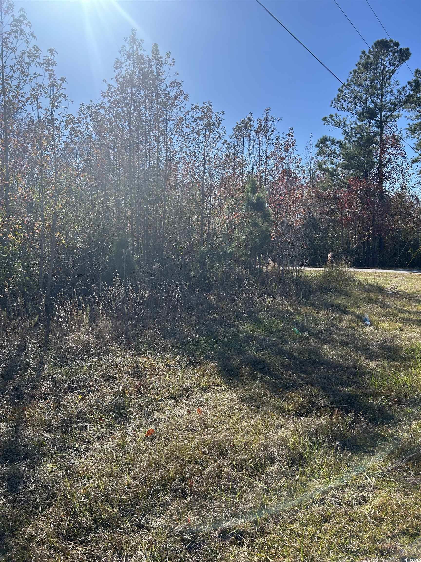 TBD Apple Valley Rd. Property Photo 1