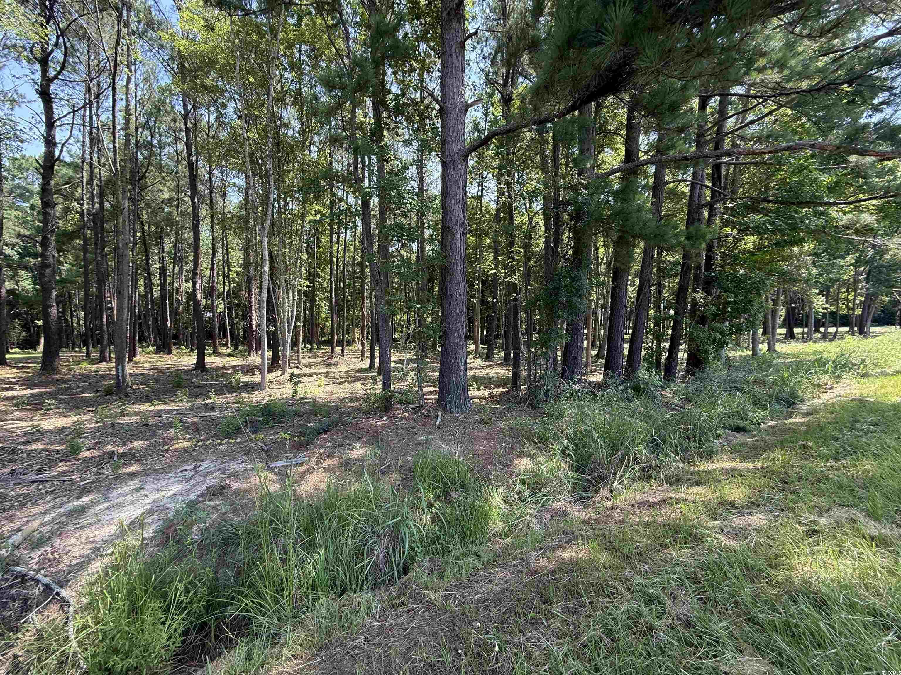 Lot 3 Highway 668 Property Photo 1