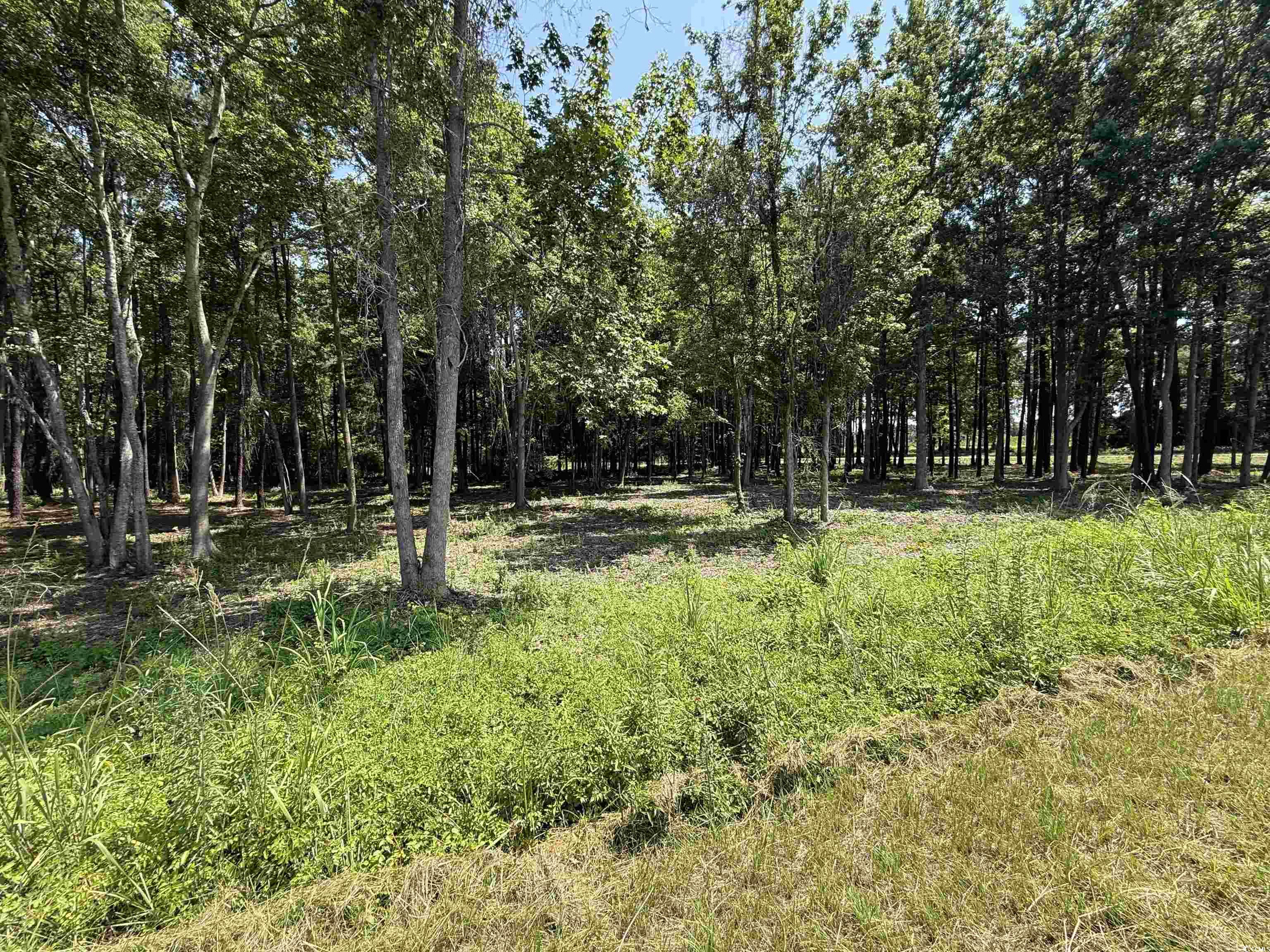 Lot 4 Highway 668 Property Photo 1
