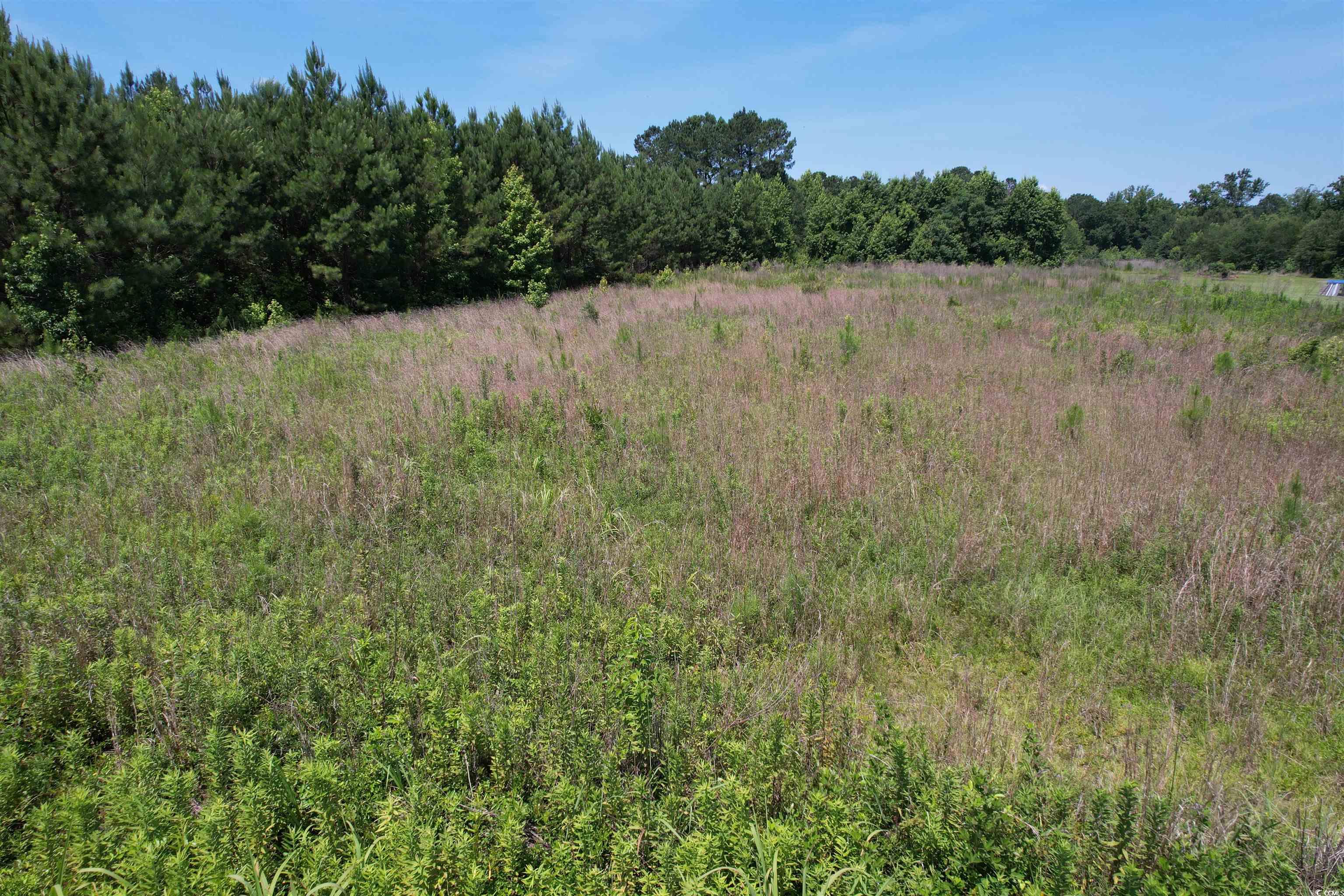 3.7 Acres - Tbd Marion Church Rd. Property Photo 1