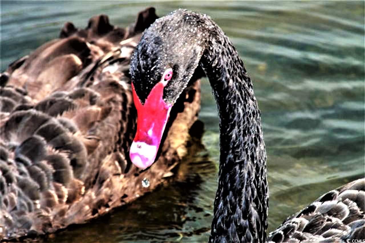 145 Hartland Dr. Property Photo 36