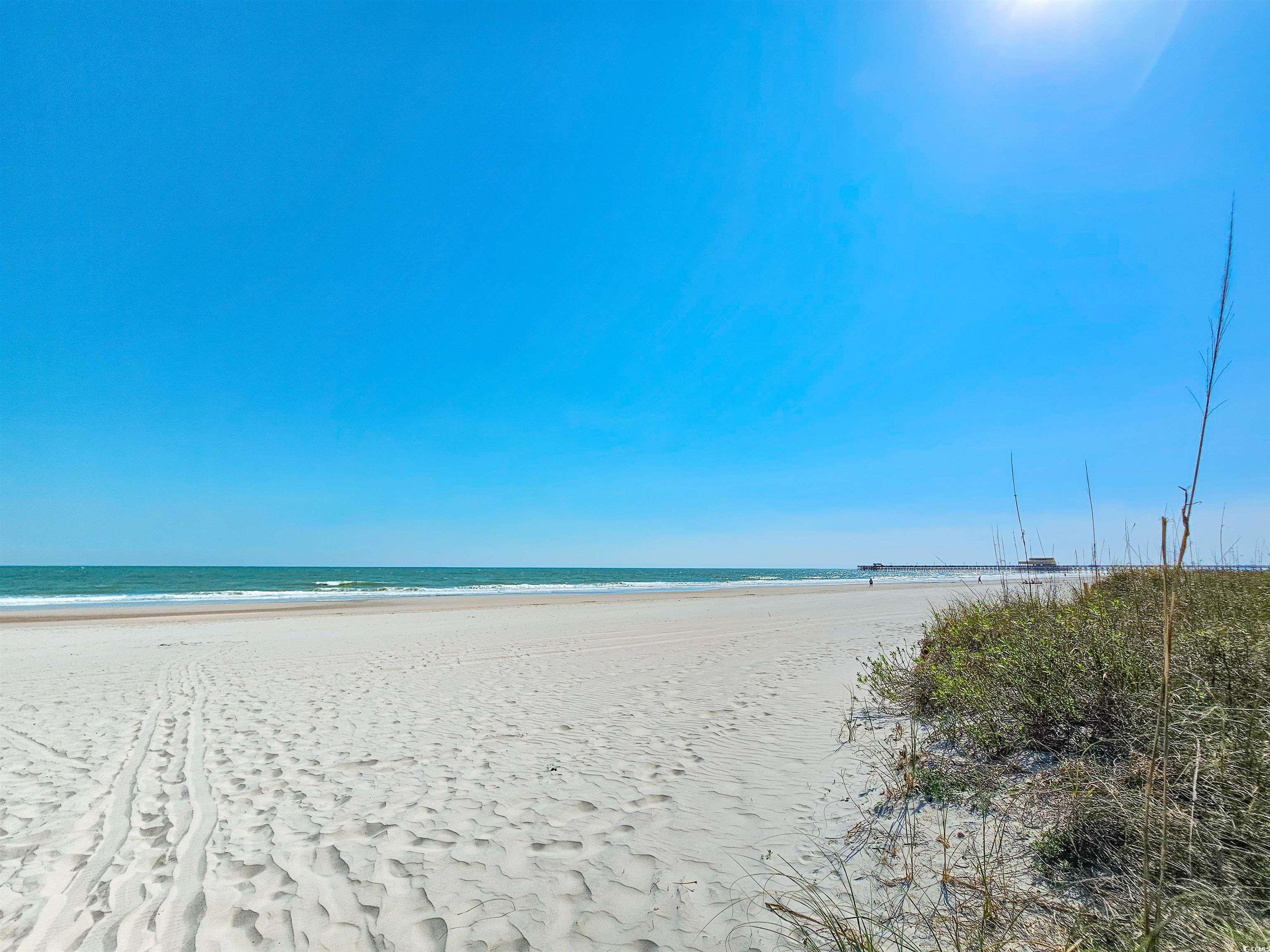 145 Hartland Dr. Property Photo 38