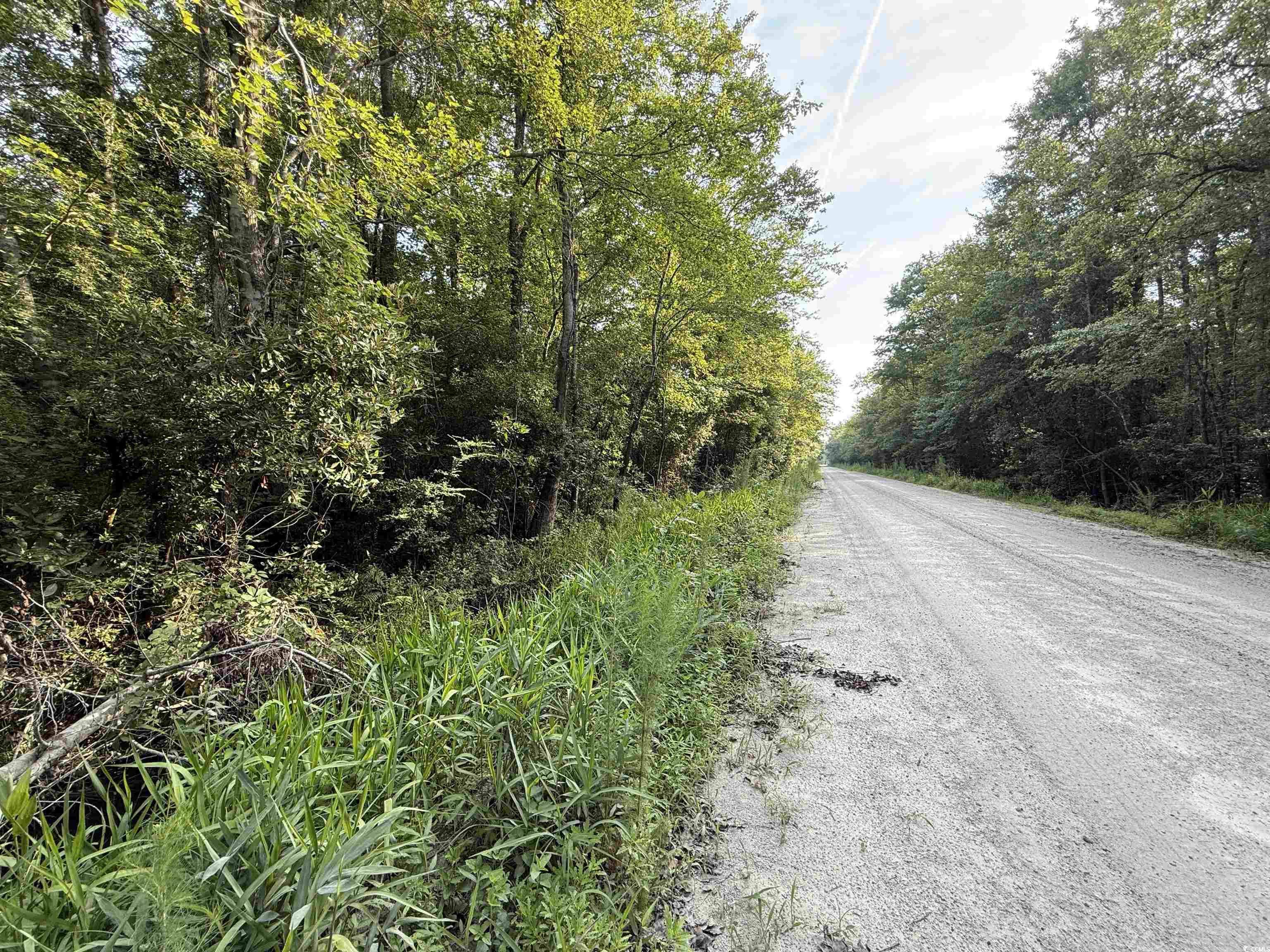 Tbd Wolf Pit Bay Rd. Property Photo 1